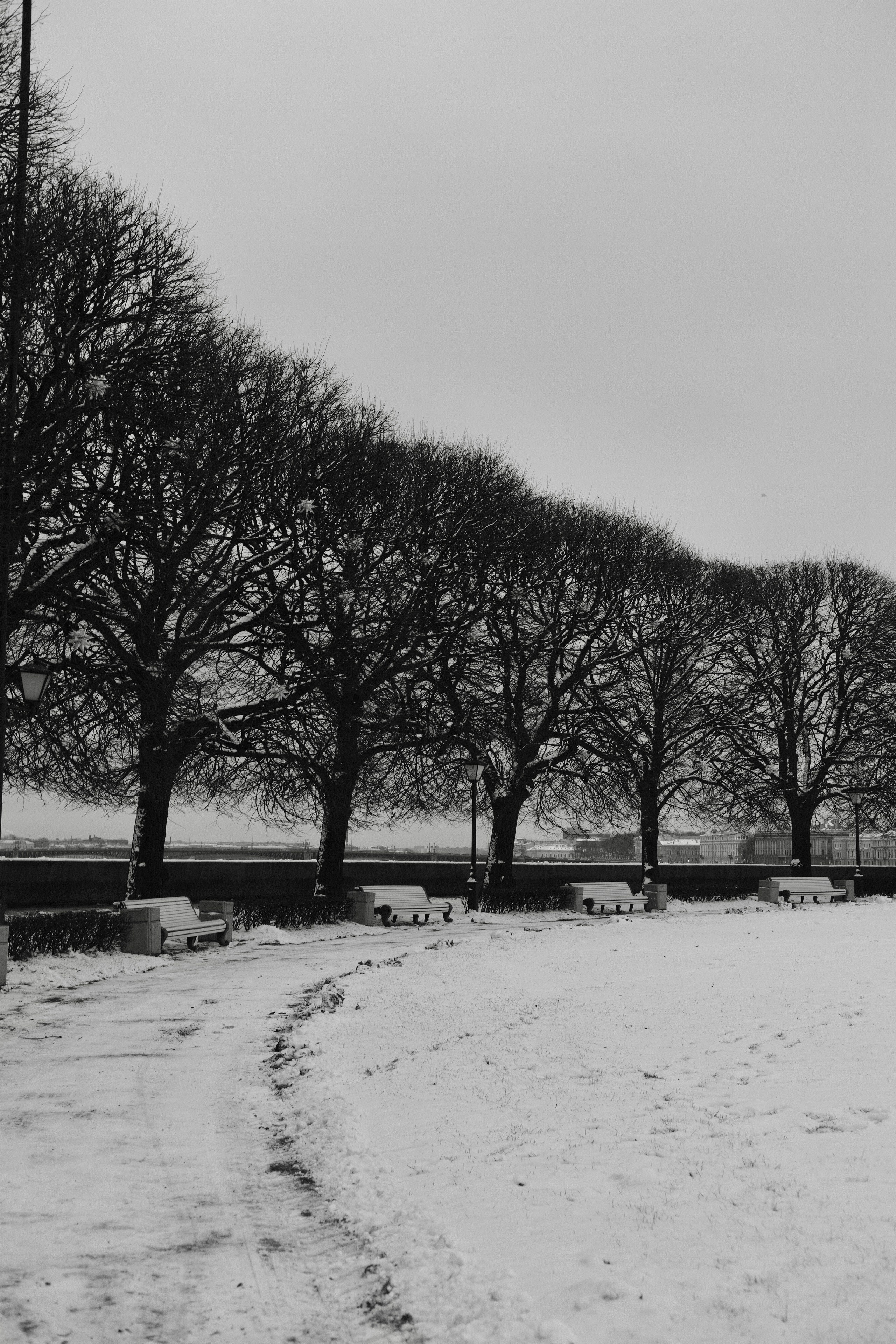 Город. BELABONKA