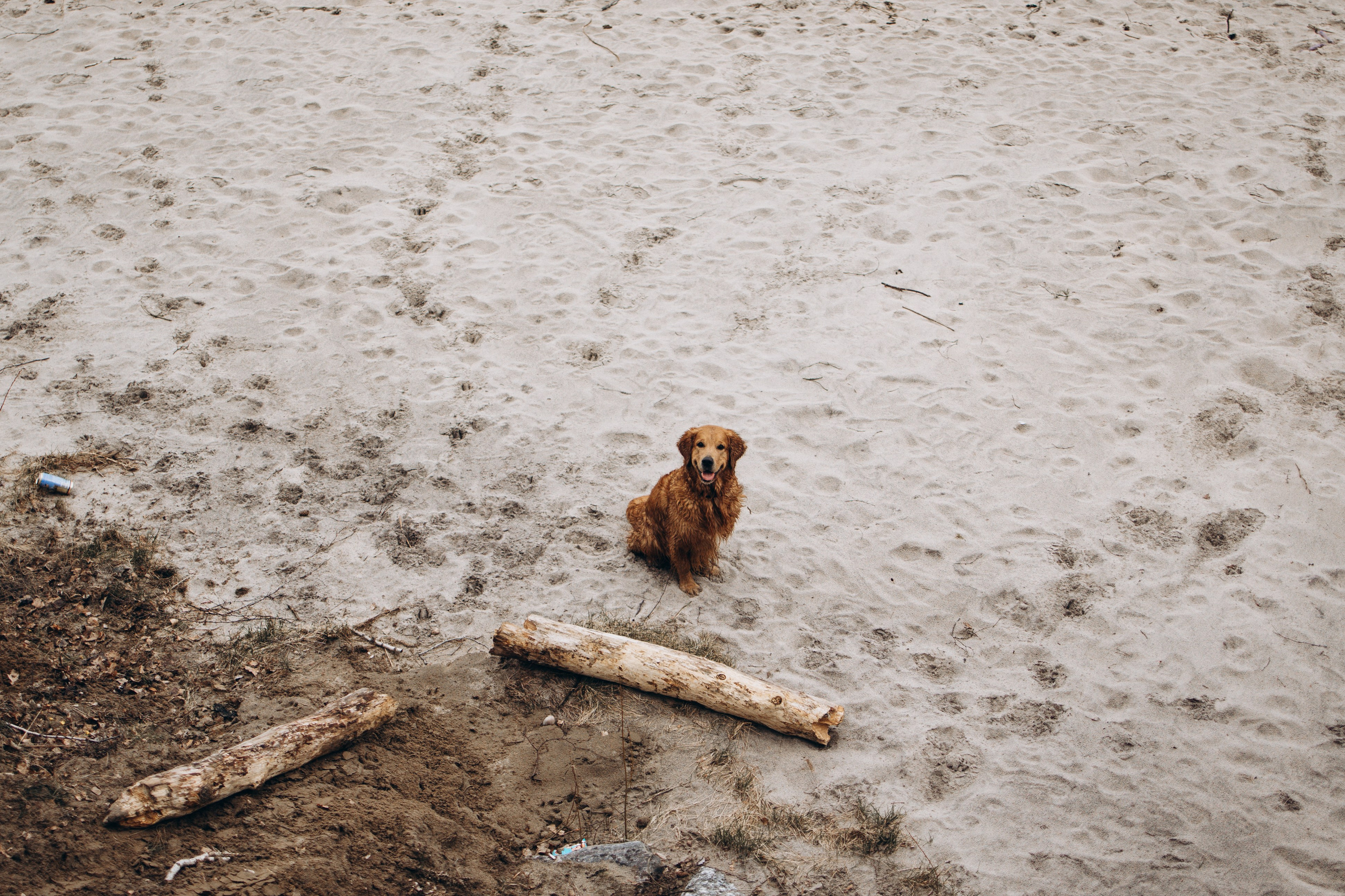 Юля и Максик. Фотограф — Анималист | Санкт-Петербург