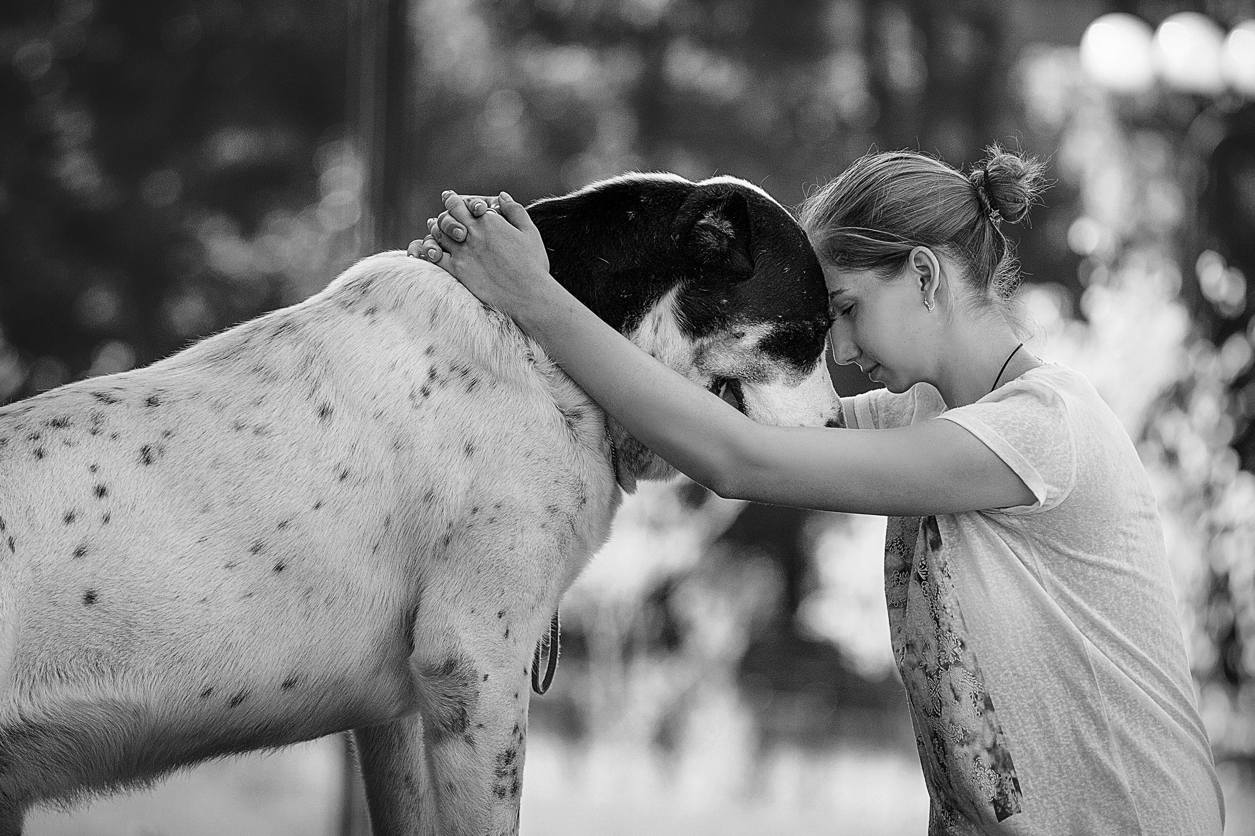 Художественная фотография людей и животных. Фотошкола и фотокурсы в Абакане