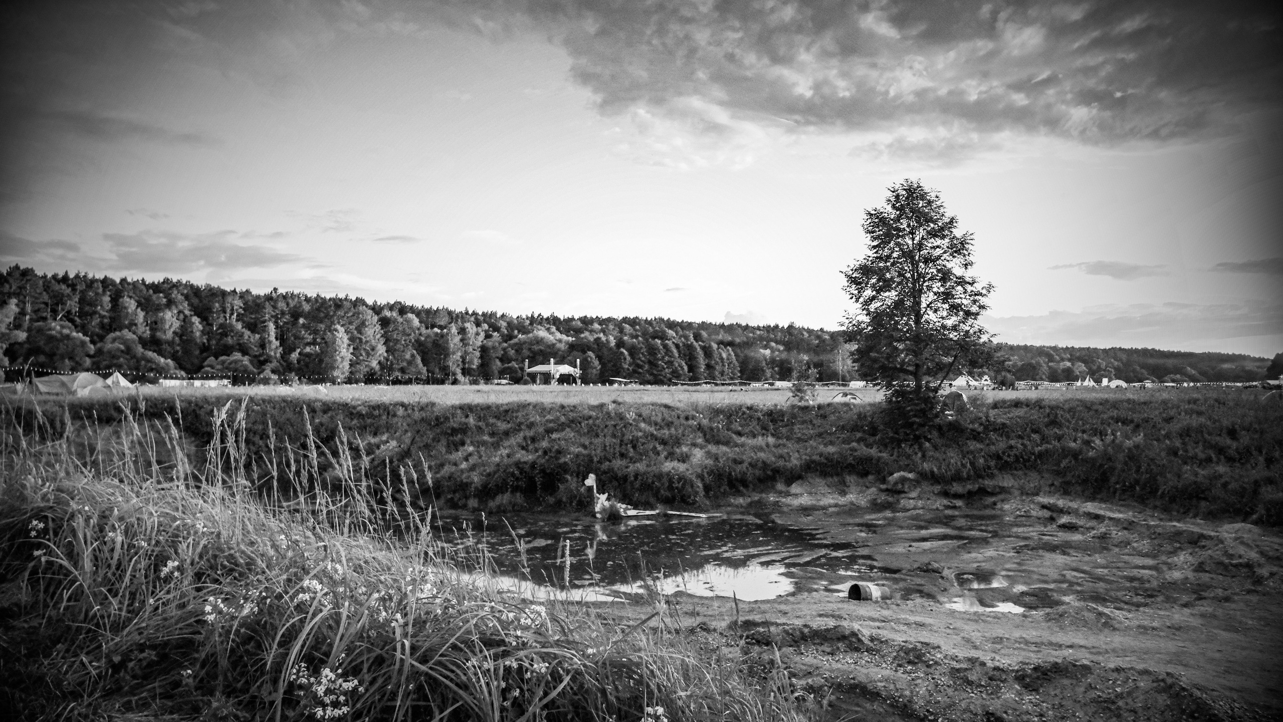 Insomnia2024. Фотограф и видеограф Апокина Мария Москва