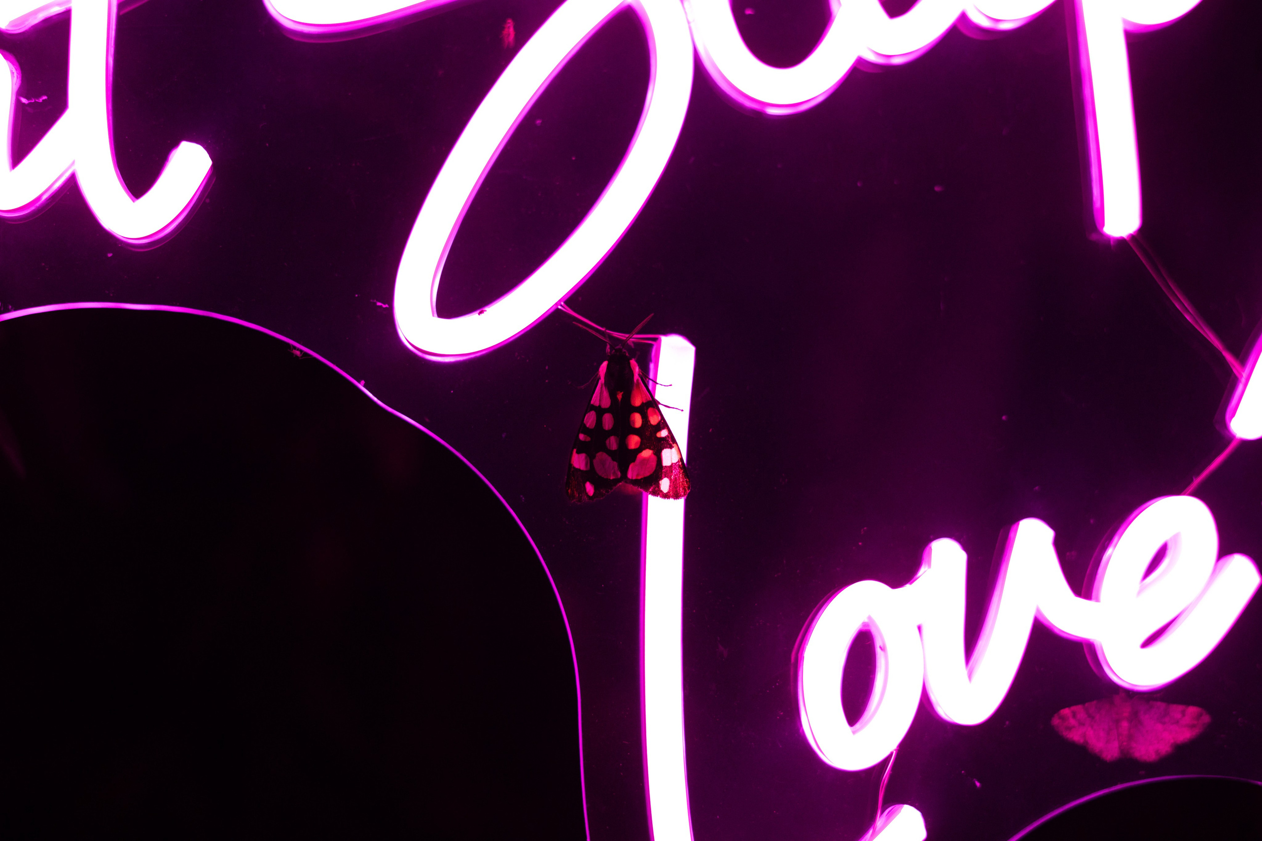 Stasy and Roberto. Wedding Photographer in Barcelona and Medellin