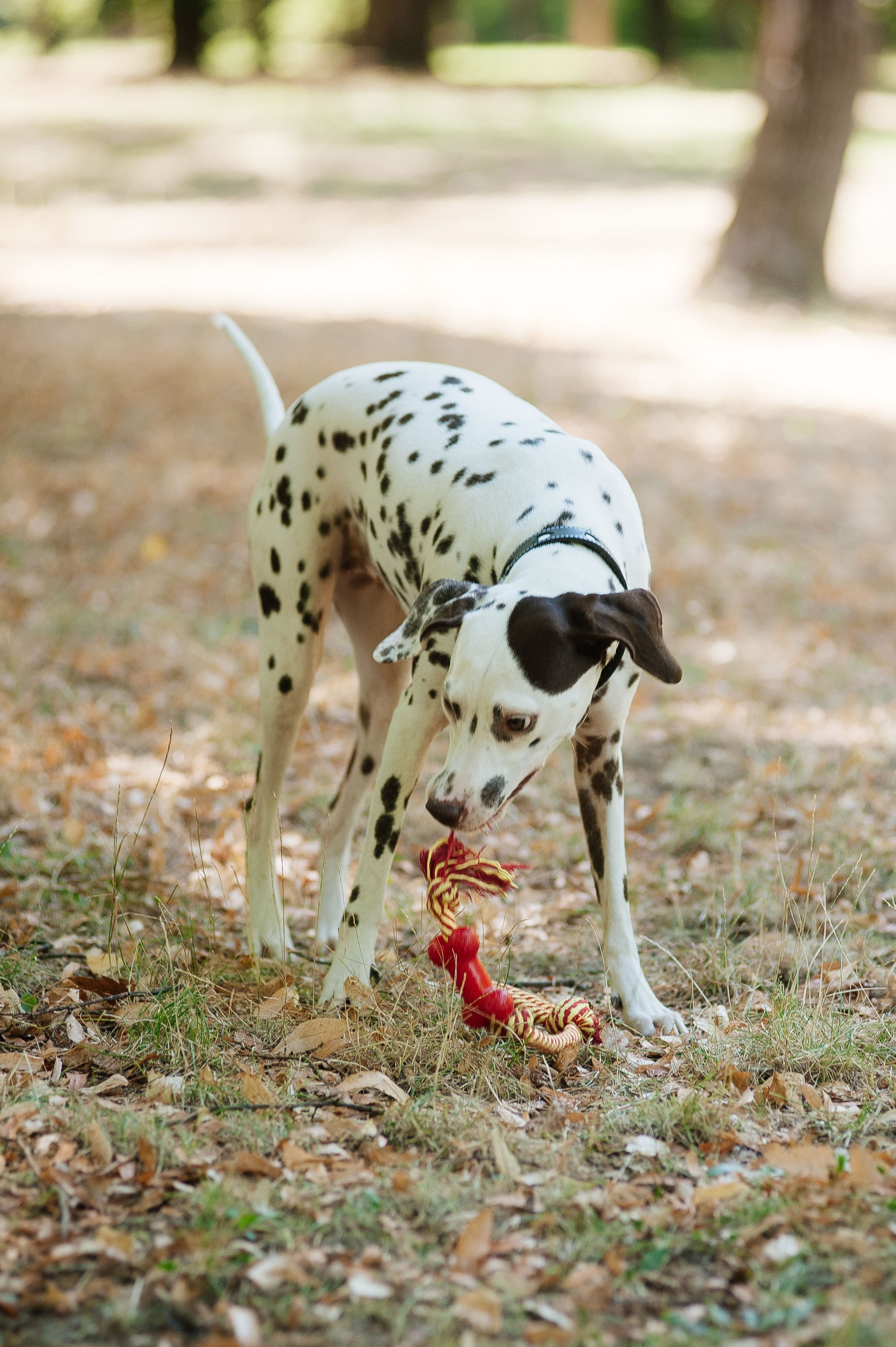 Семья Тимофеевых. Фотограф на Таинство Венчания и Крещения в Краснодаре Абрамова Людмила