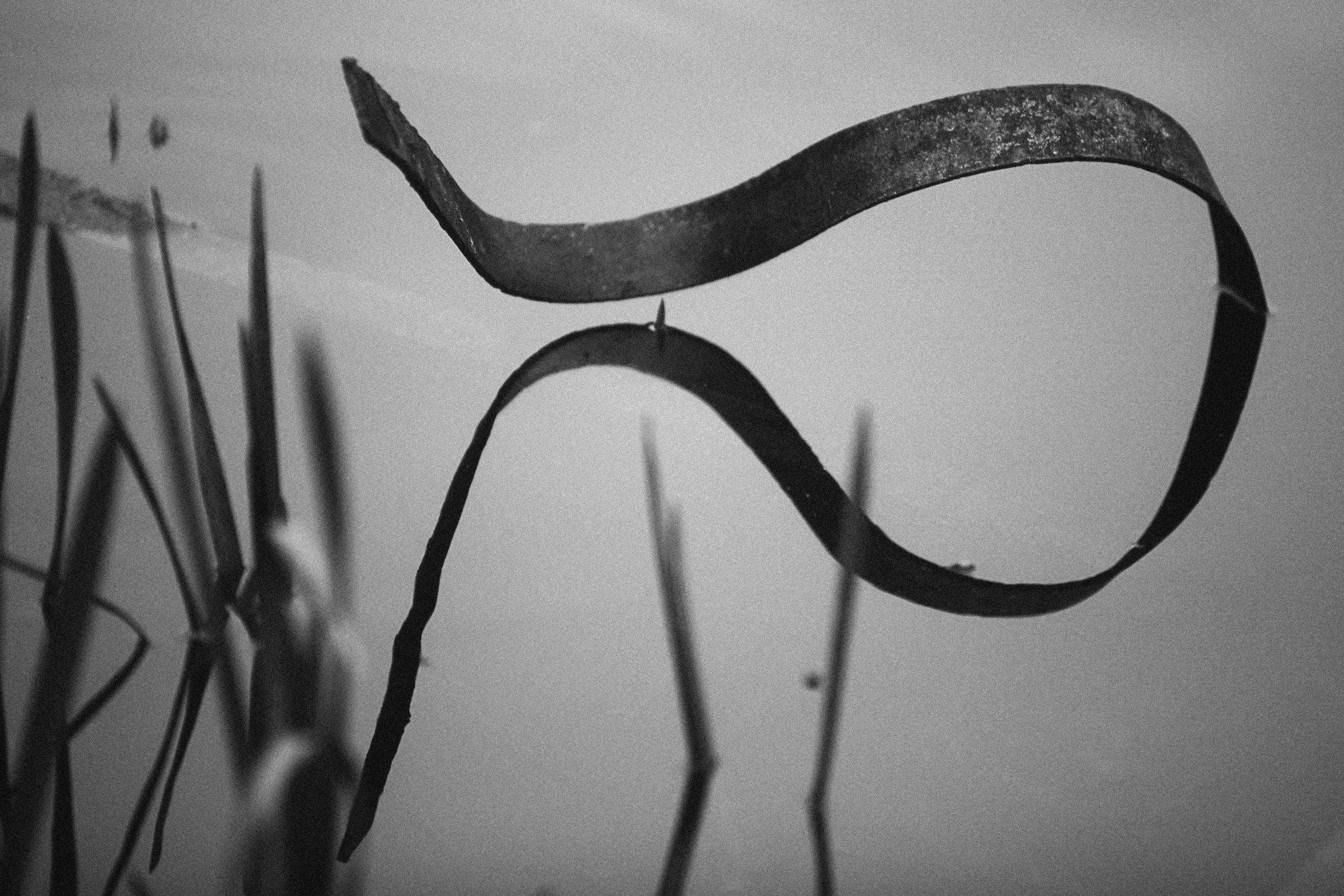 Фото. Фотограф Лагутин Анатолий