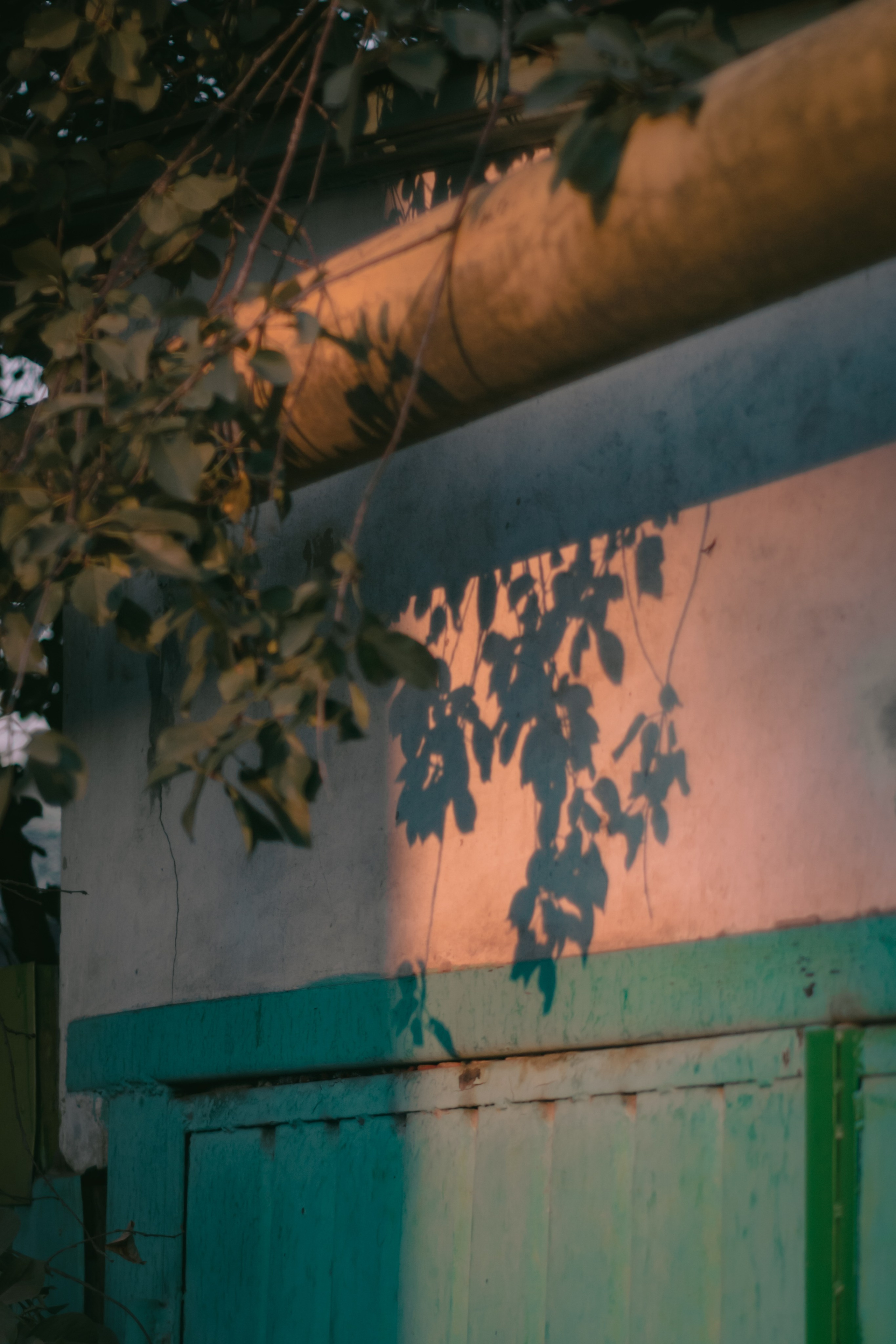 Визуальный дневник. Репортажный фотограф в Алматы Цой Сергей