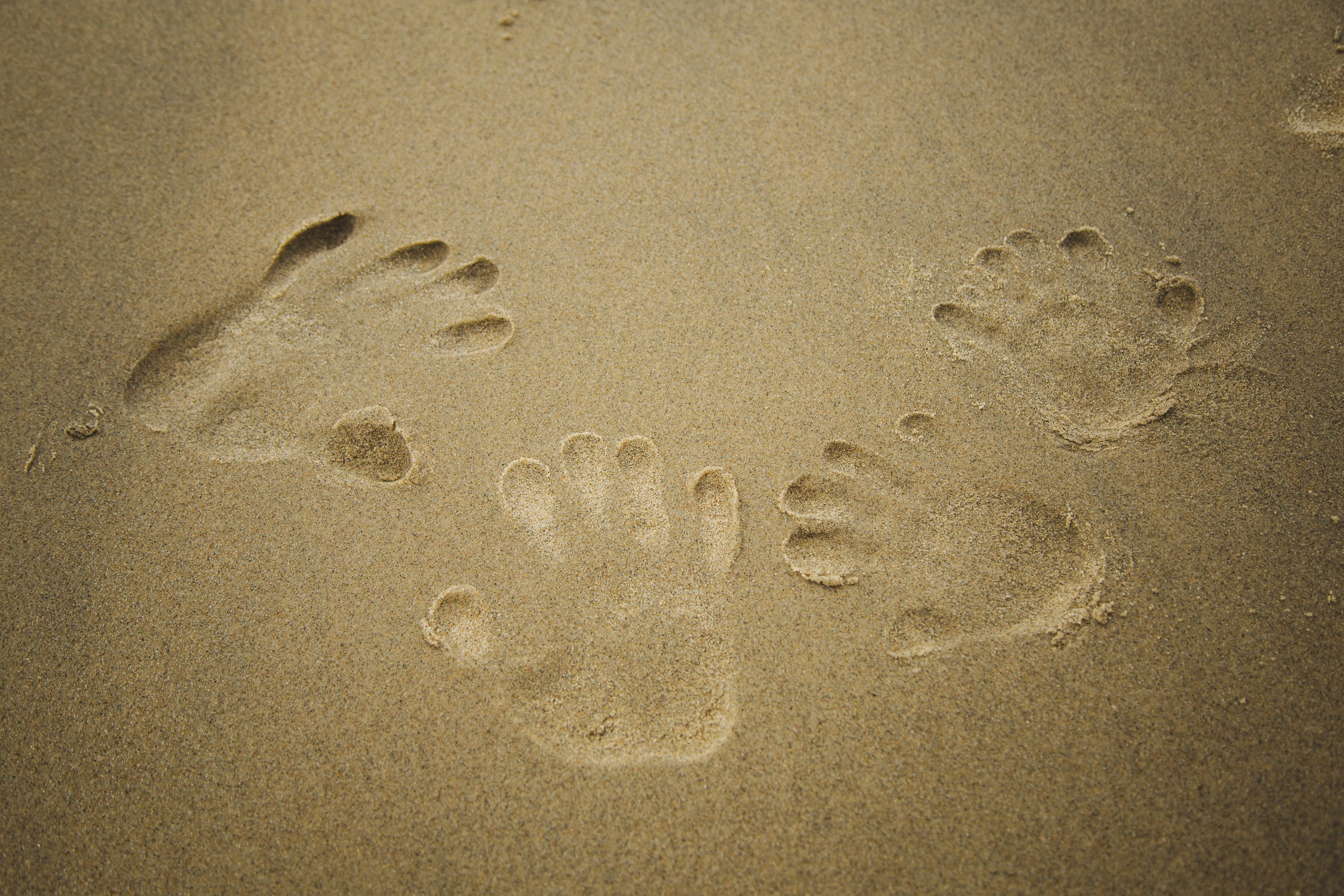 Family_Куршская КОСА. Андрей Миллер Фотограф из Калининграда