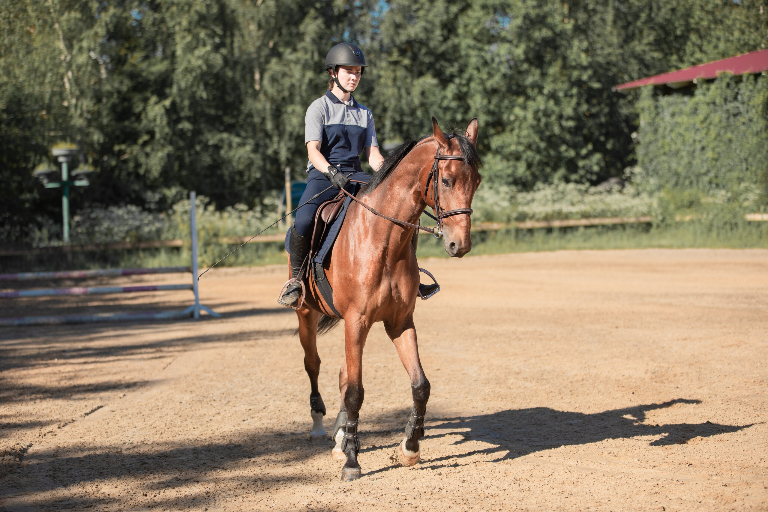 Репортажная съёмка спортивных мероприятий. ESHE_PHOTO Фотограф анималист в Москве и Московской области