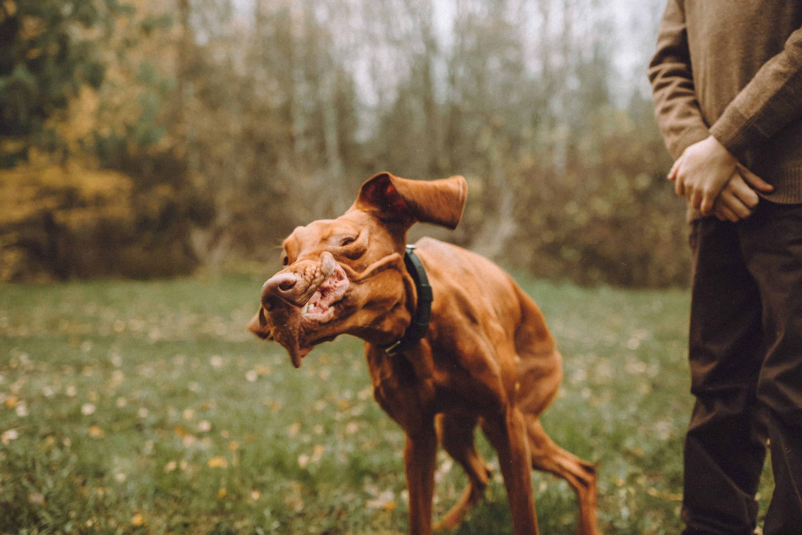 Дориан и его семья