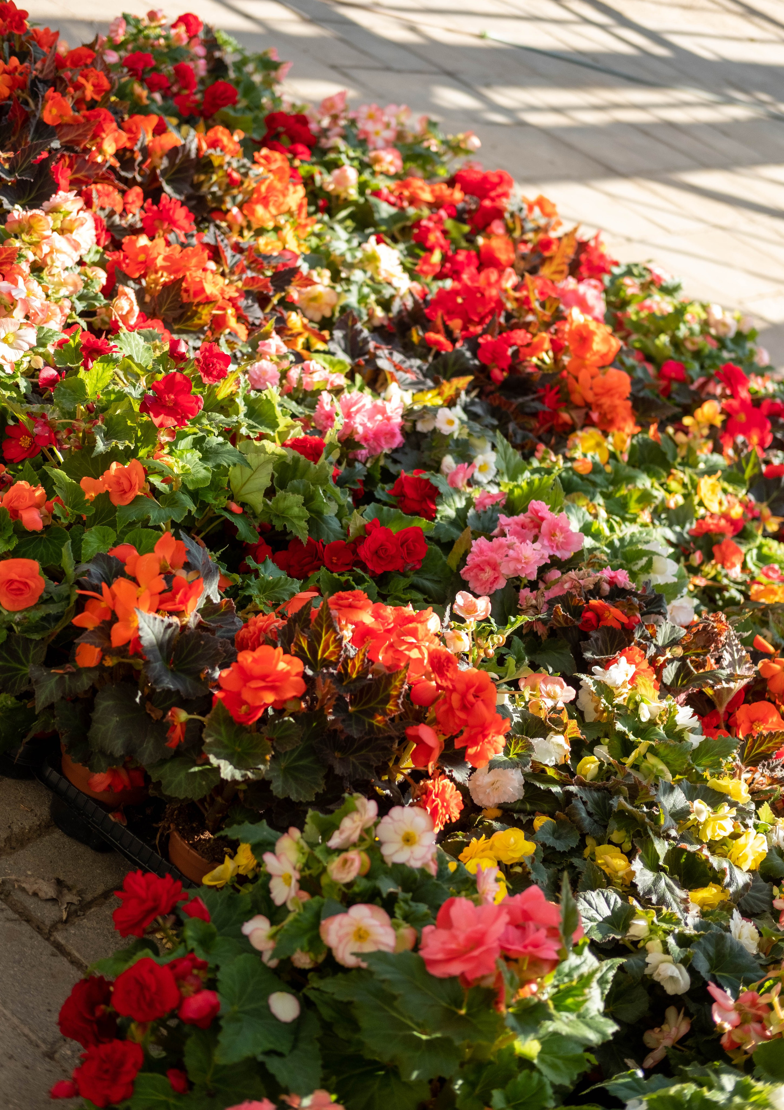 Москва 2024. Свадебный и семейный фотограф в Новосибирске, Санкт-Петербурге, Москве