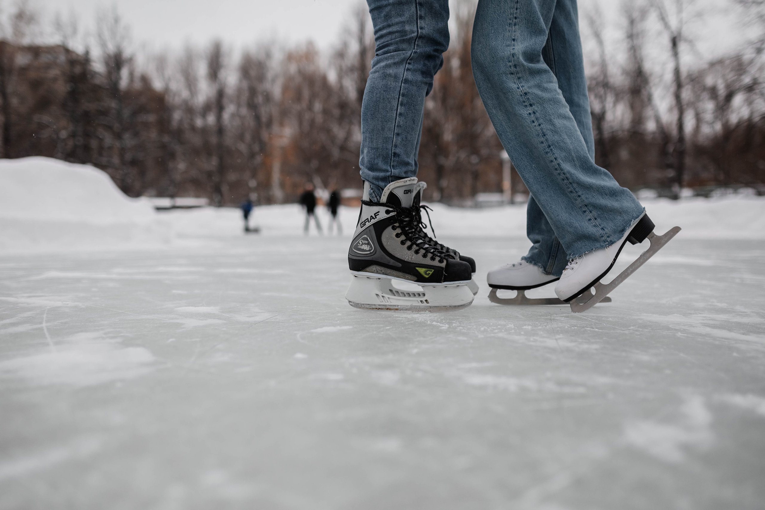 Снег. Фотограф Елена Краснопевцева