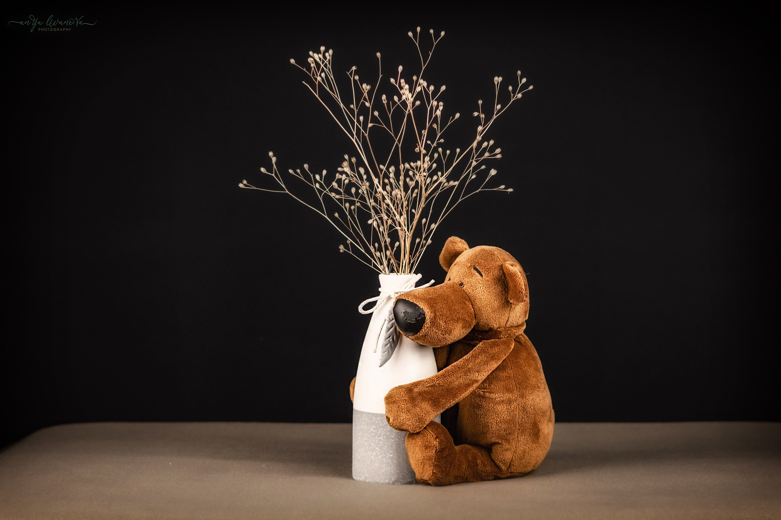 Черный фон. Фотограф анималист Аня Ливанова | Рыбинск