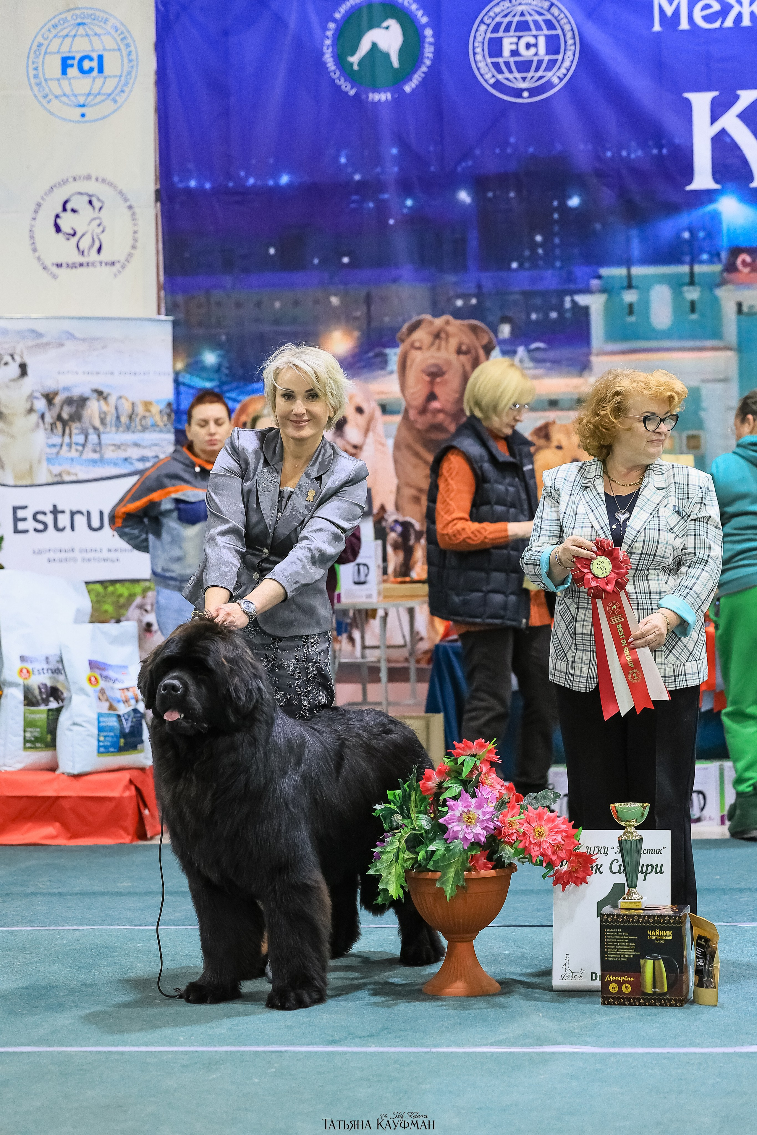 6-7.12.25 — 1-4 Национальные выставки собак в Новосибирске (2х рейтинговые). Фотограф Анималист из Новосибирска Татьяна Кауфман