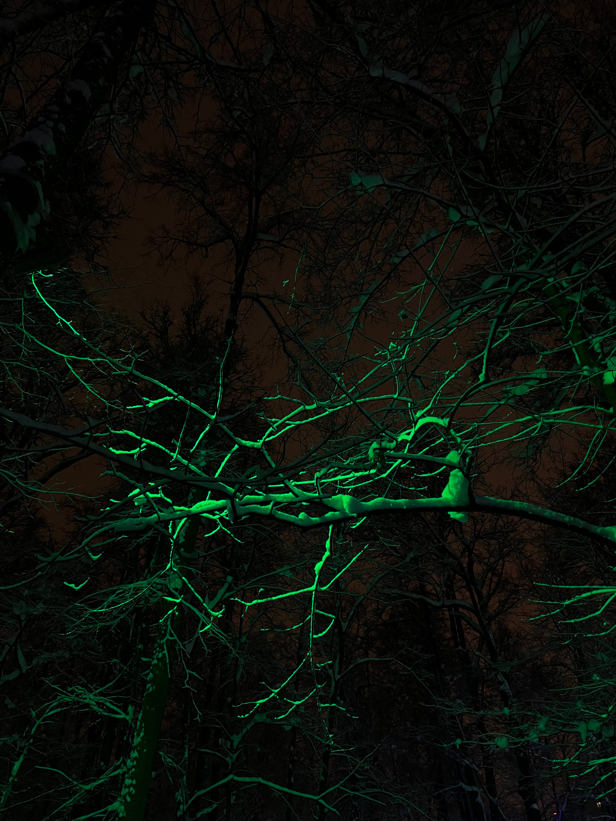 Fragments. Artem Khusainov