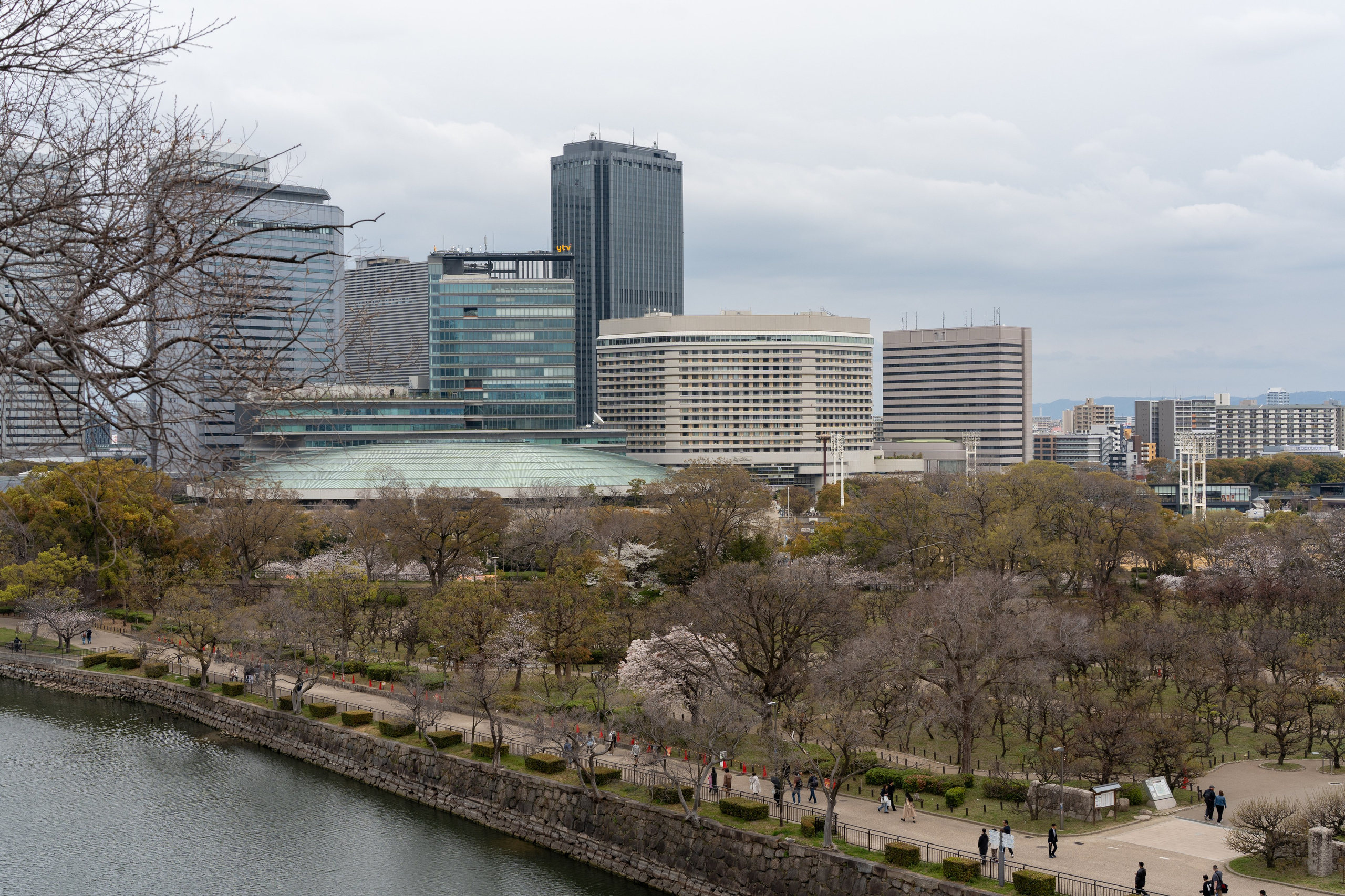 Япония, сакура. Творческие сьемки