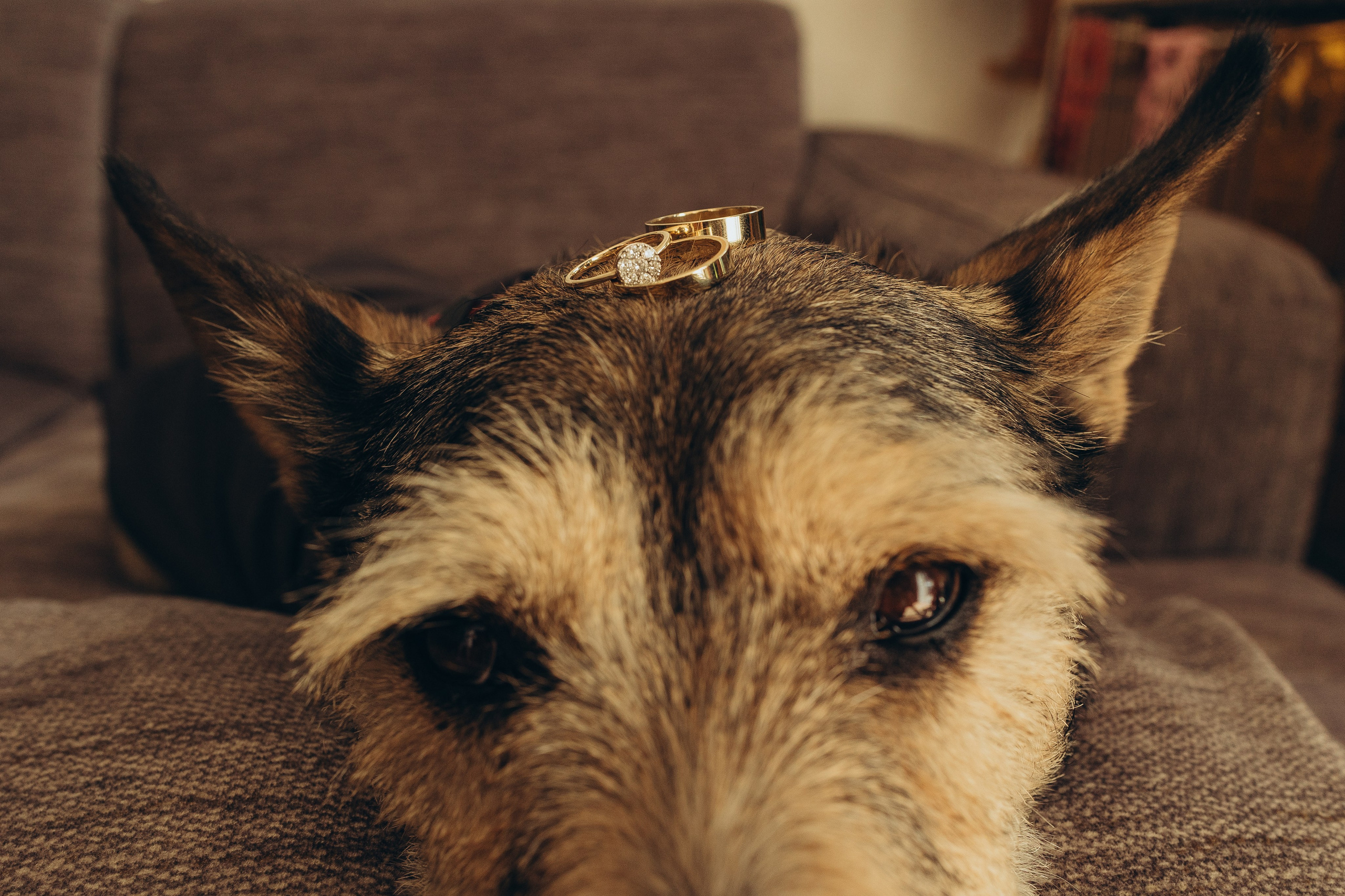 Химена и Мануэль, Ариа и Буки. Ирина Крохалева. Семейный фотограф в Екатеринбурге