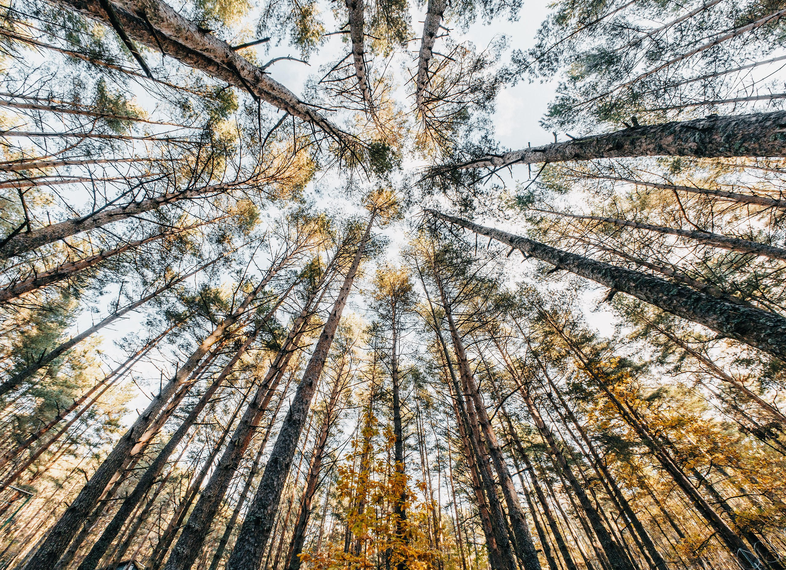 Илья Казанков. Фотограф и графический дизайнер из Калининграда