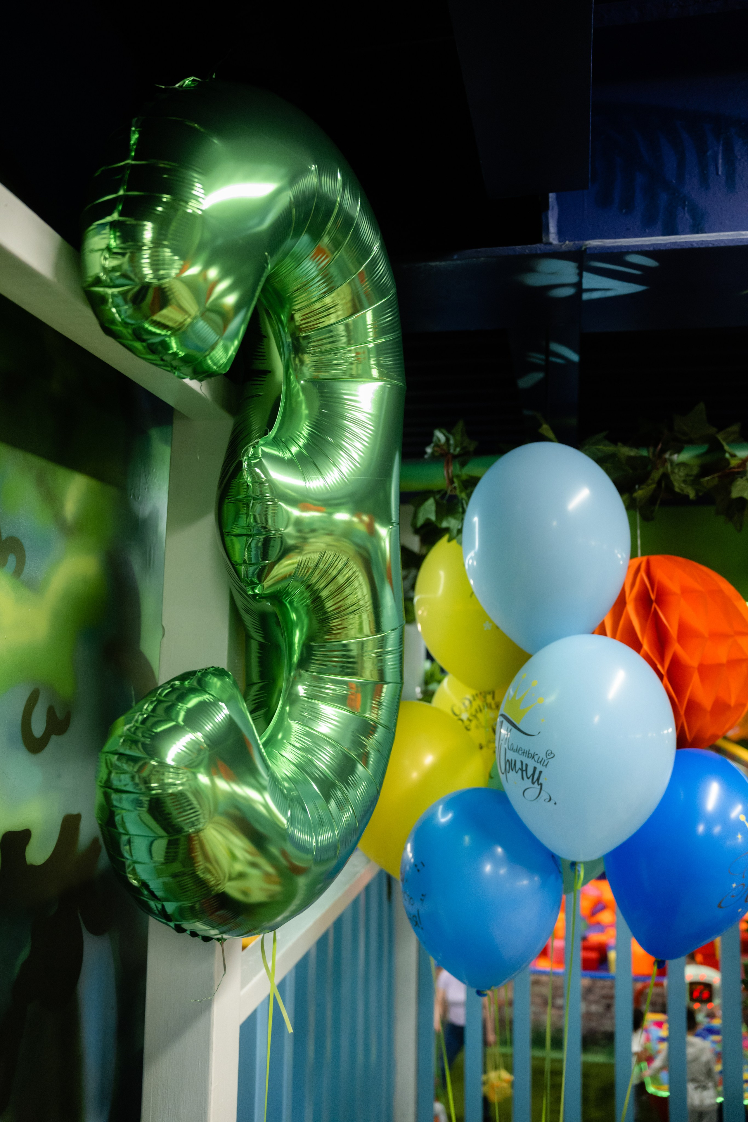 Илье 3. Фотограф и видеограф Мария Банщикова, Солнечногорск, Москва