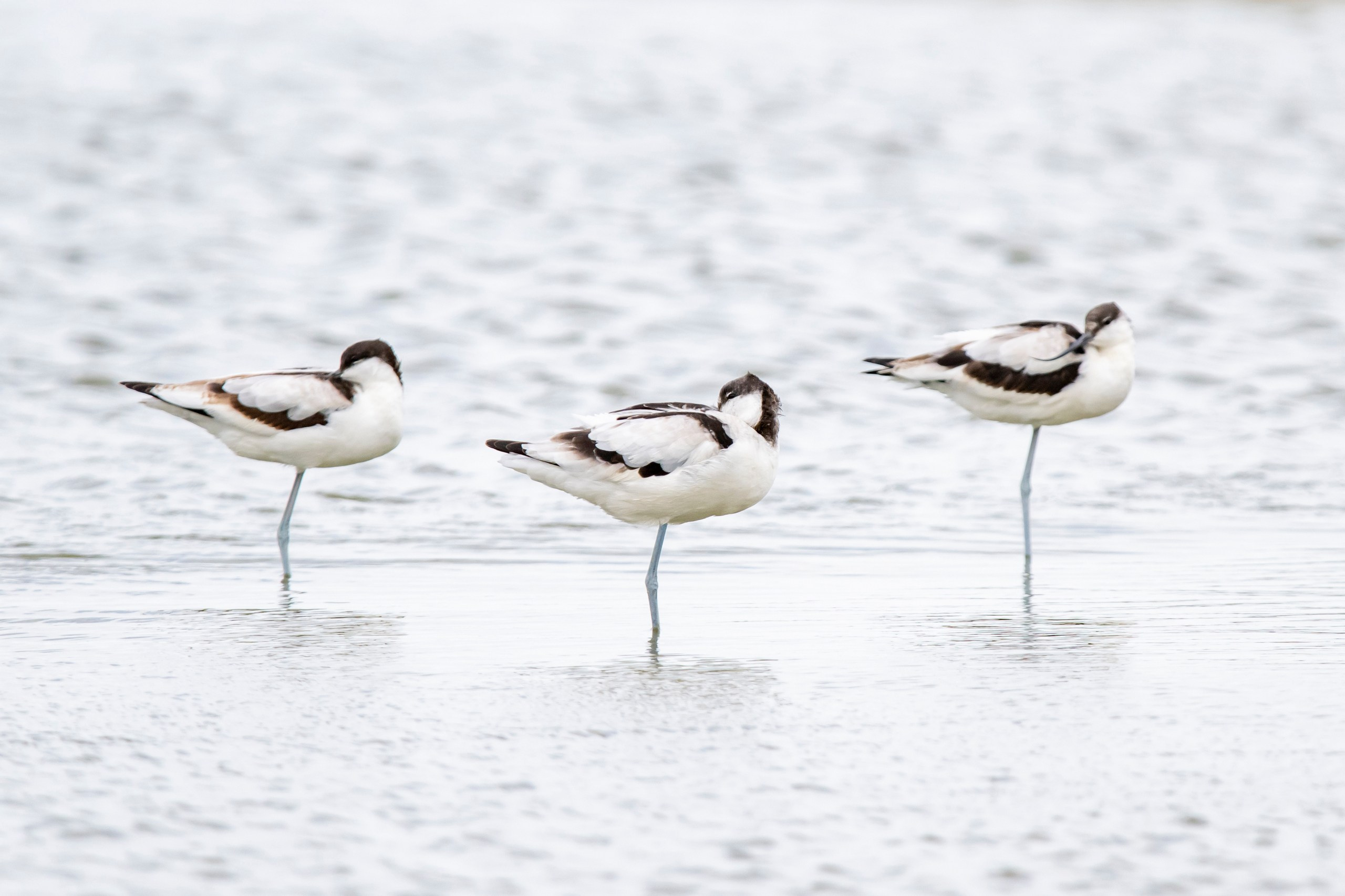 Природа Дагестана, сентябрь 2024. Foto-Zuev фотография как искусство
