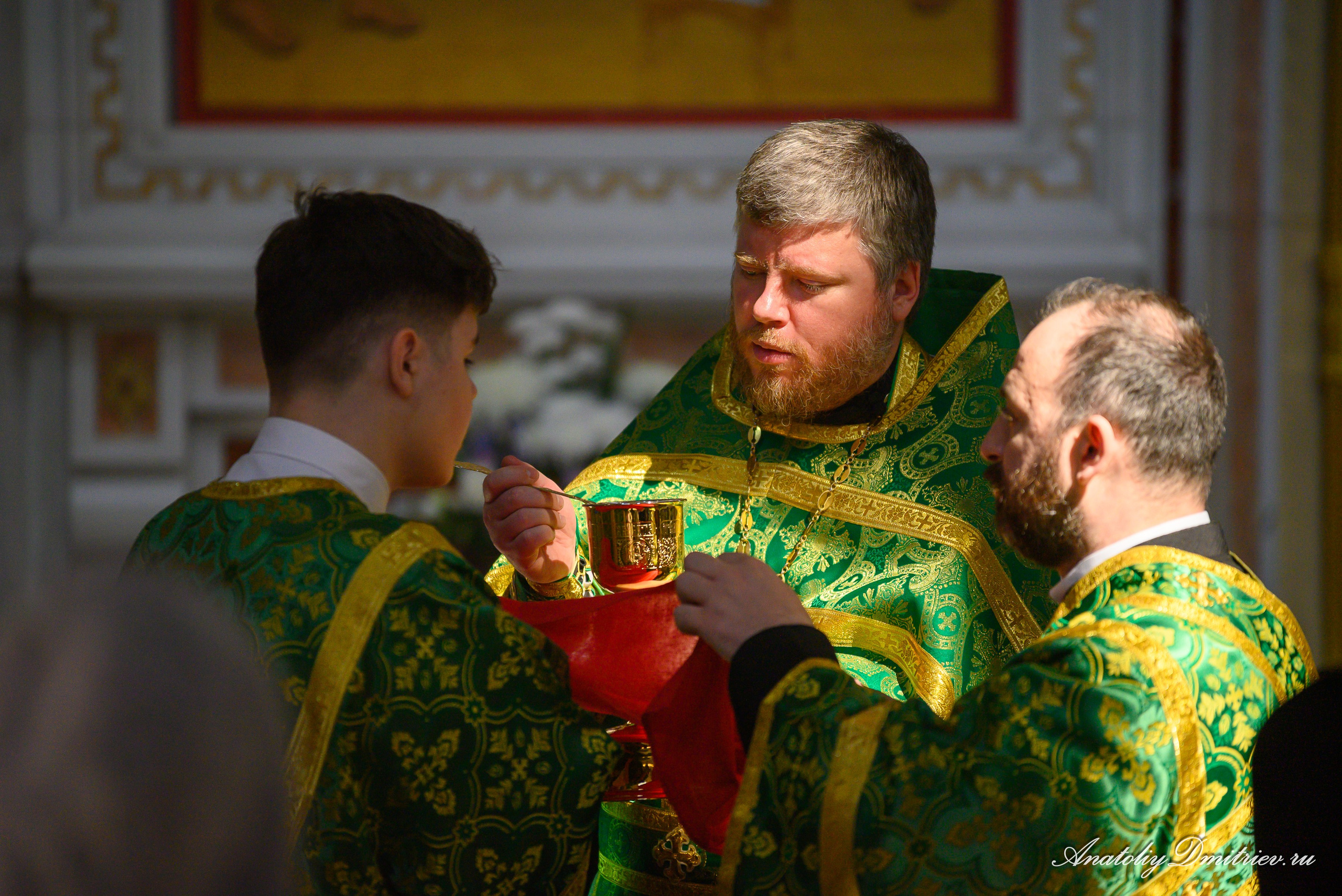 Вербное 2025. Фотограф  Крещения и Венчания Калининград