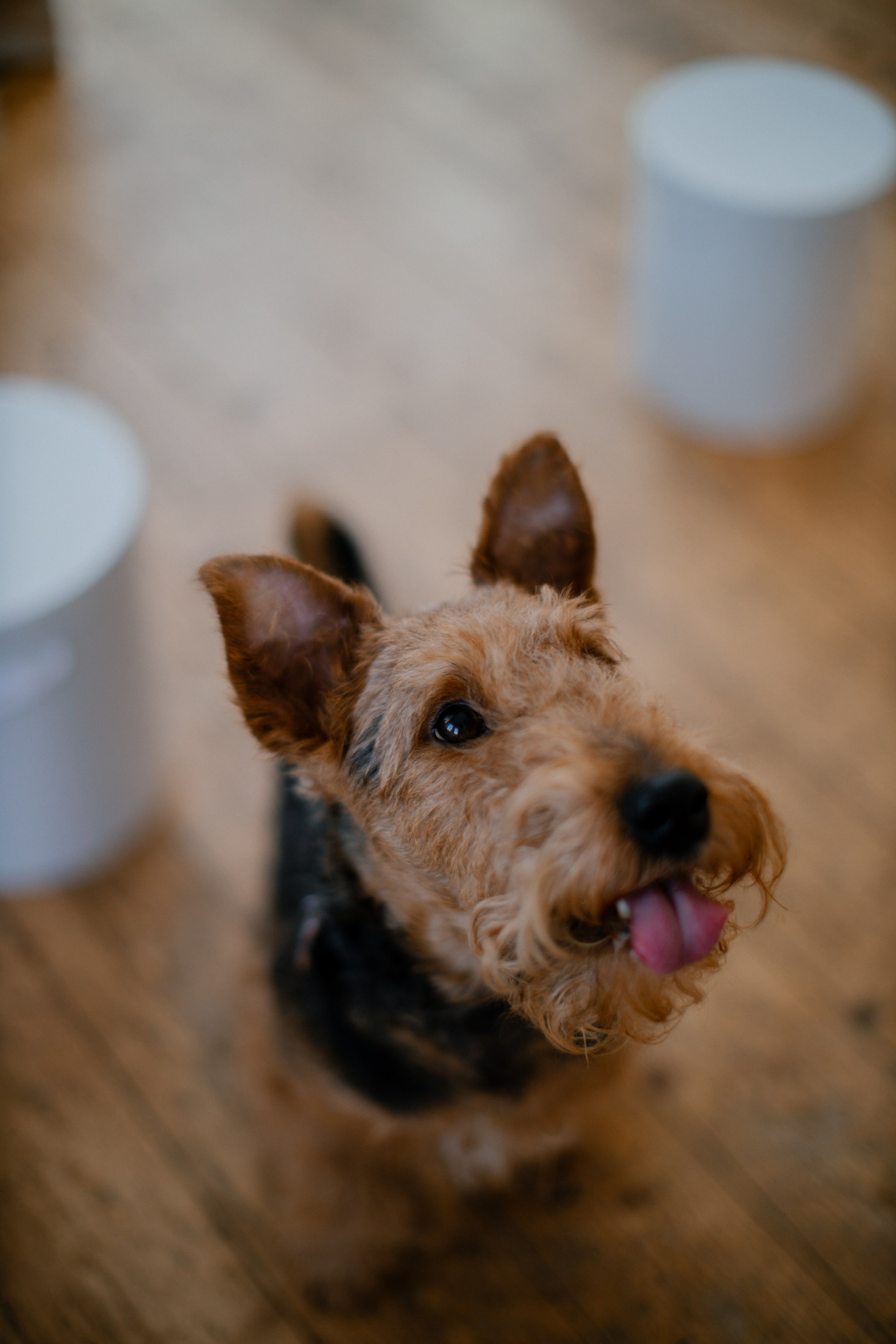 Студия Кросс. Свадебный и семейный фотограф Скрынник Светлана