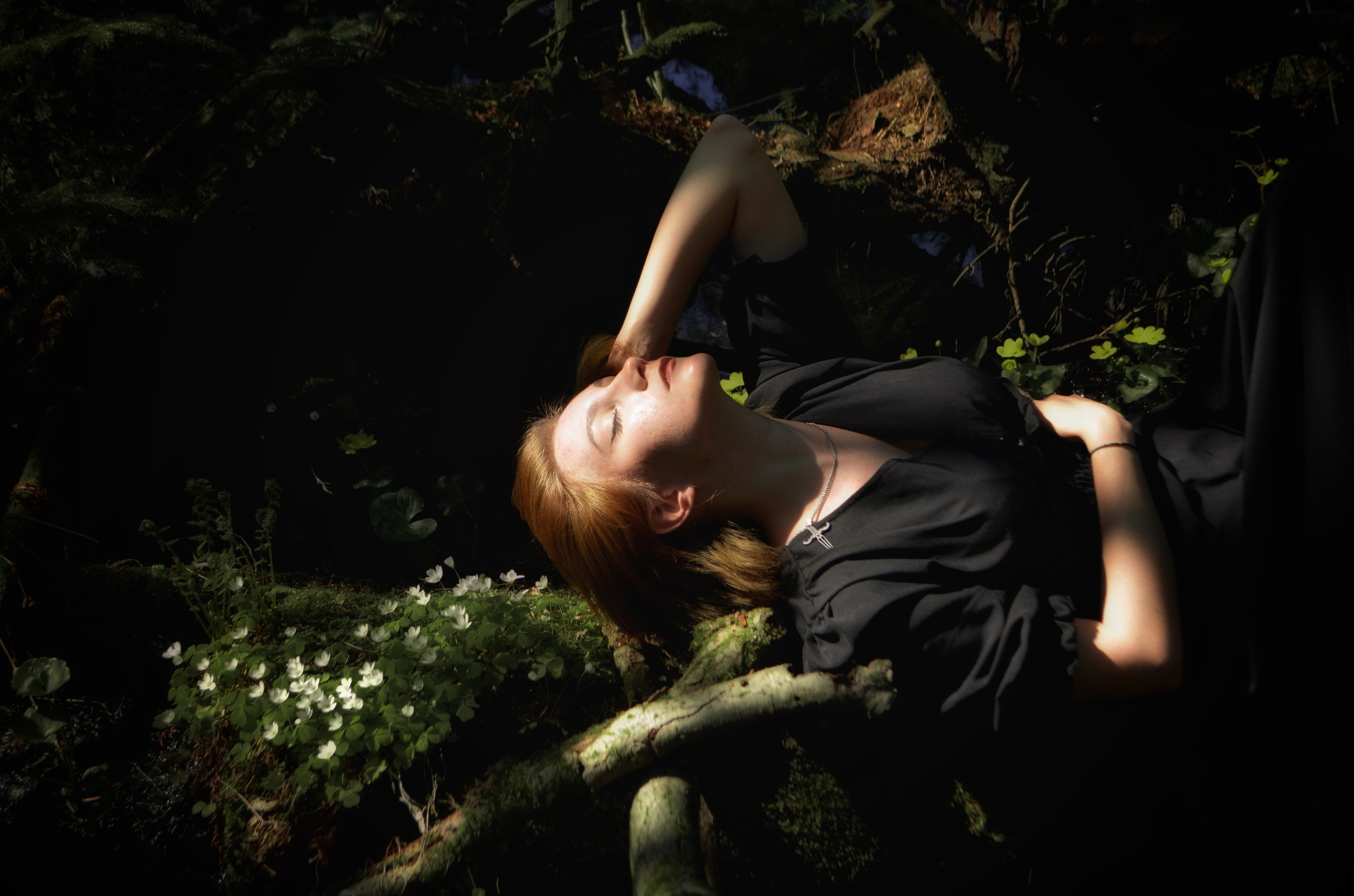 Портфолио. Wirinsens