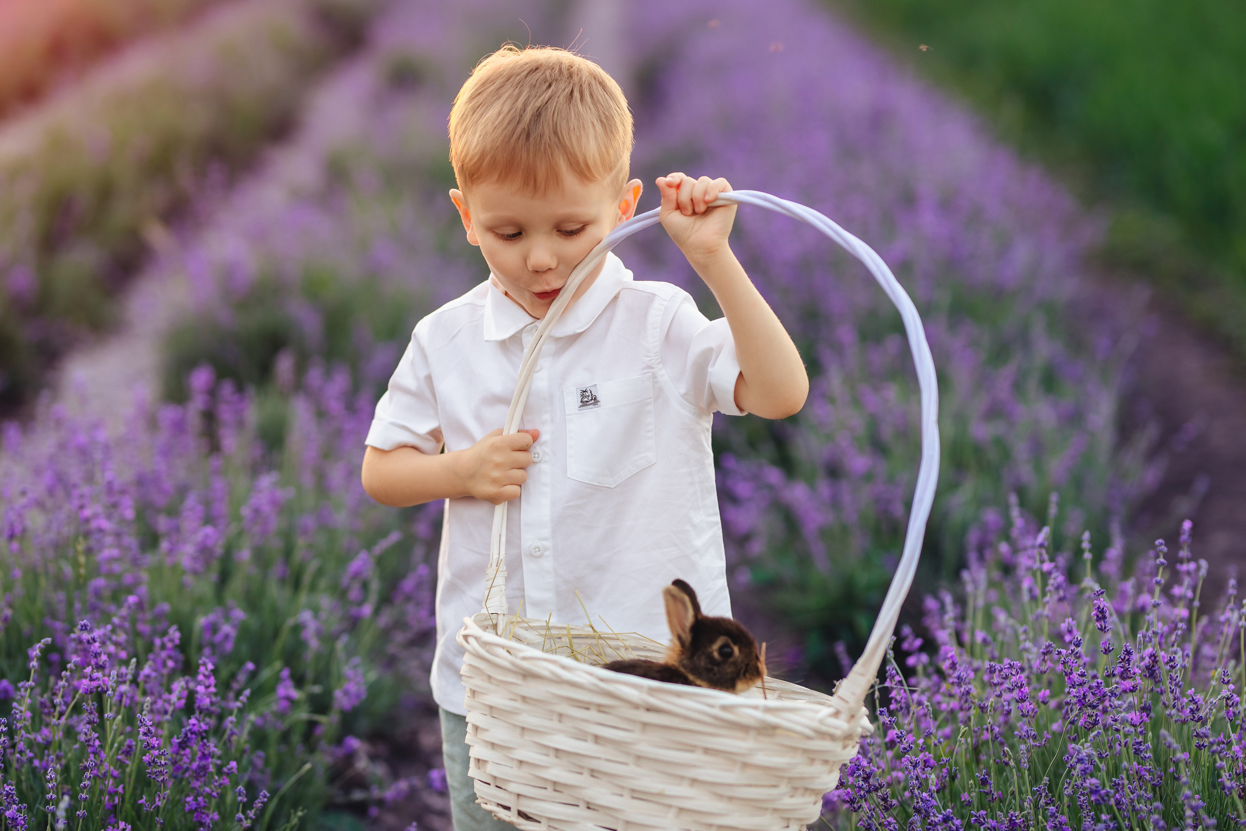 Папа, мама, я. Свадебный и портретный фотограф — Мария Костина