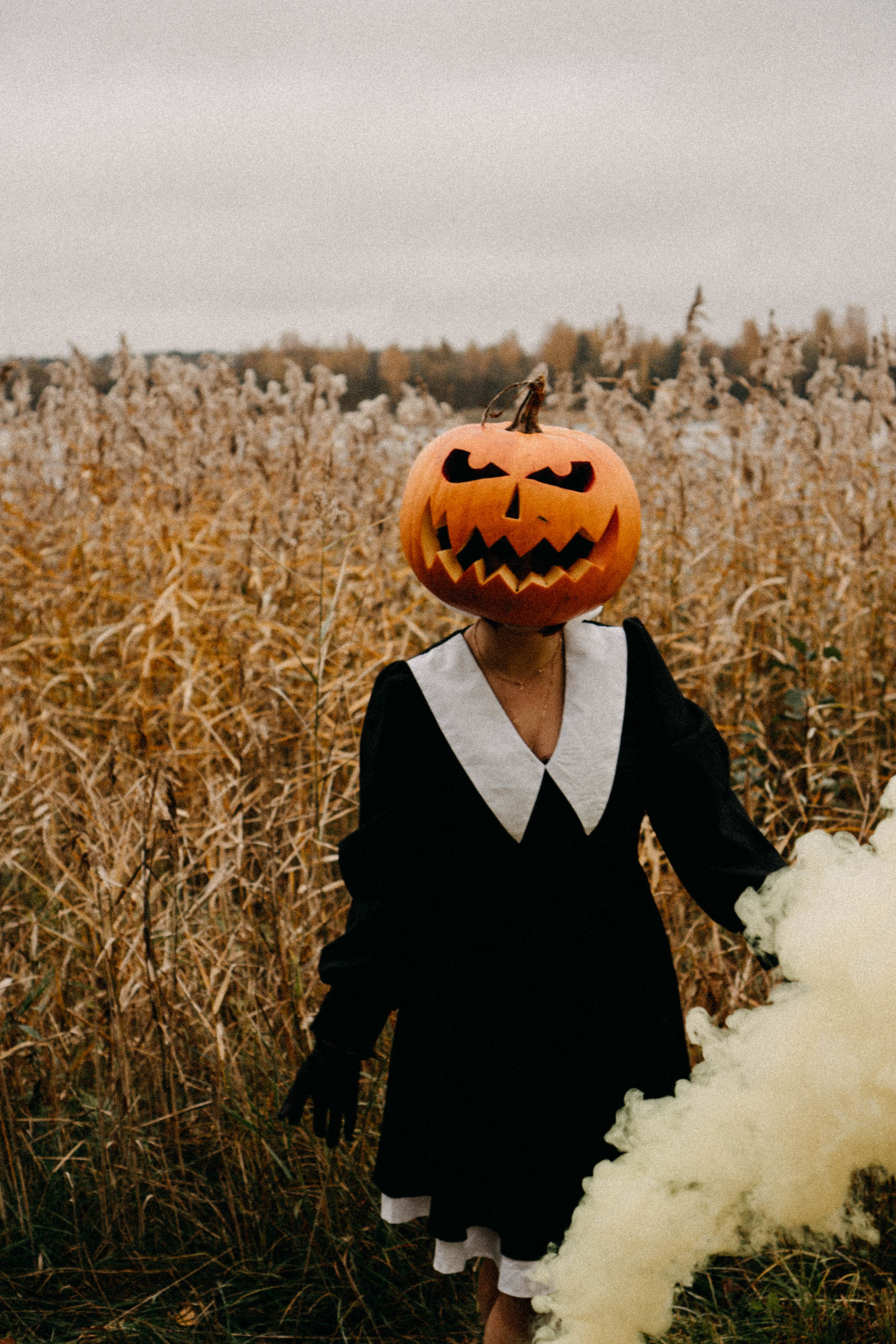 Осеняя. Профессиональный фотограф, Санкт-Петербург — Виктория Богомолова