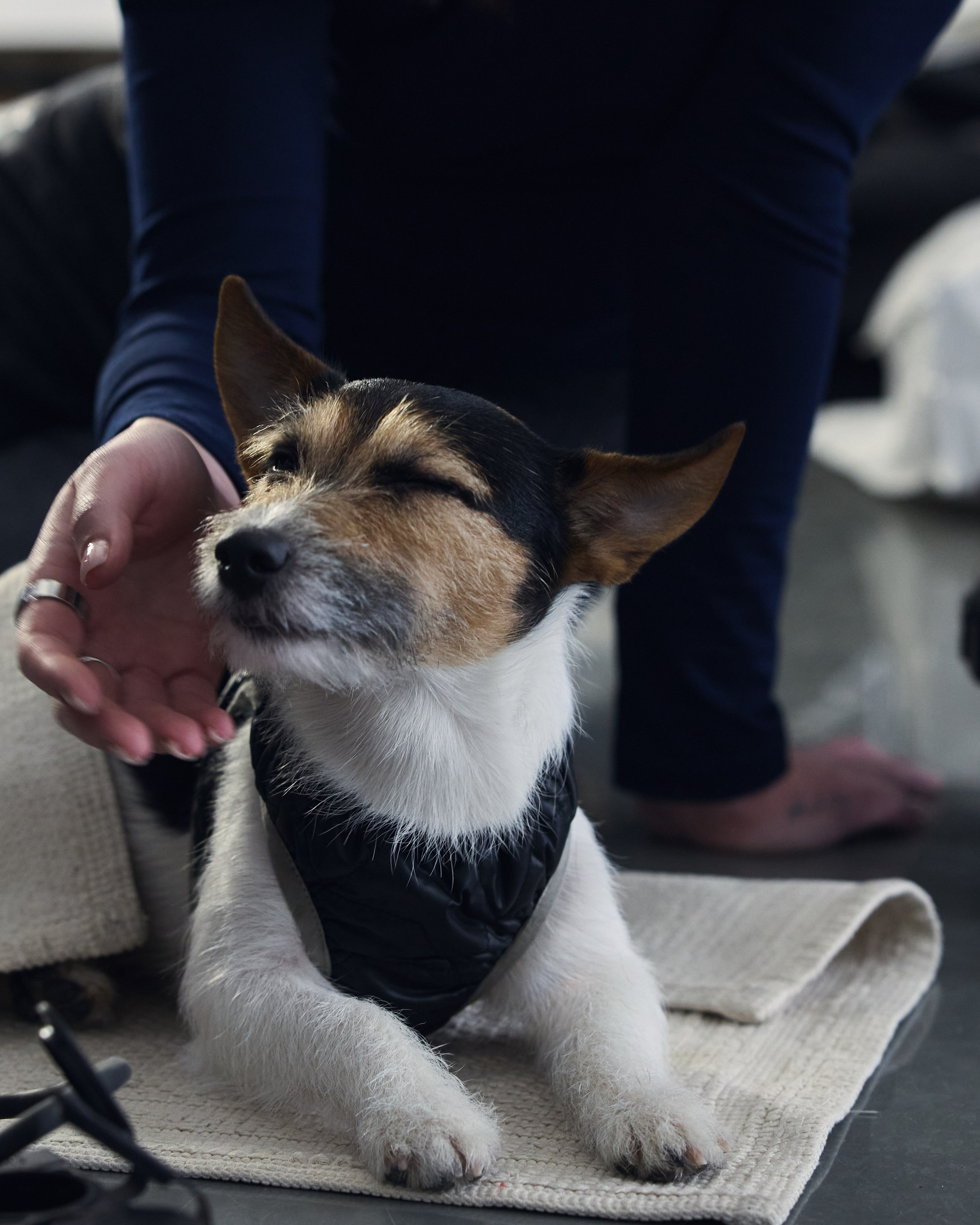 Репортаж. Главная