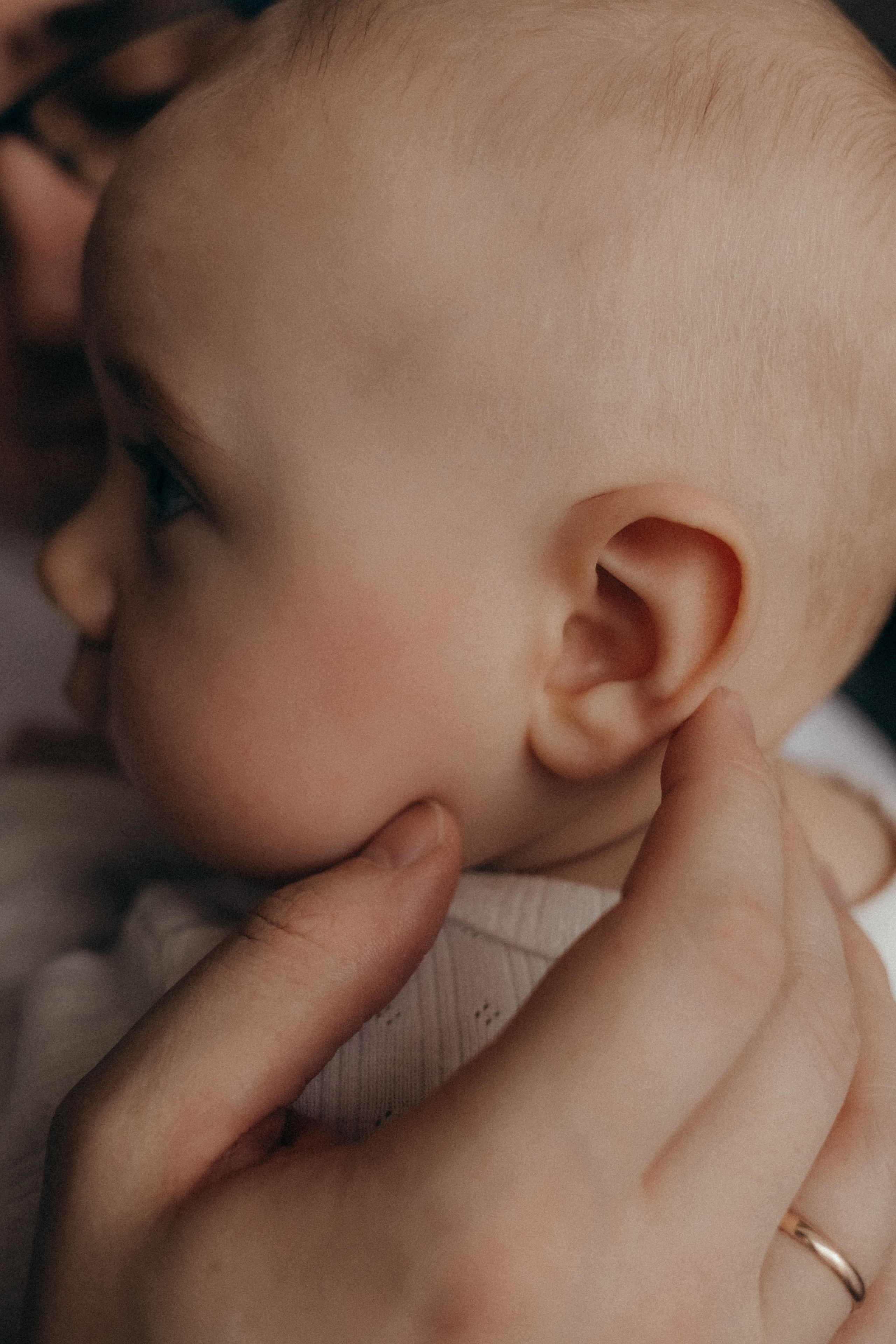 Семья Баландиных. Семейный и детский фотограф в Нижнем Новгороде Буслаева Мария