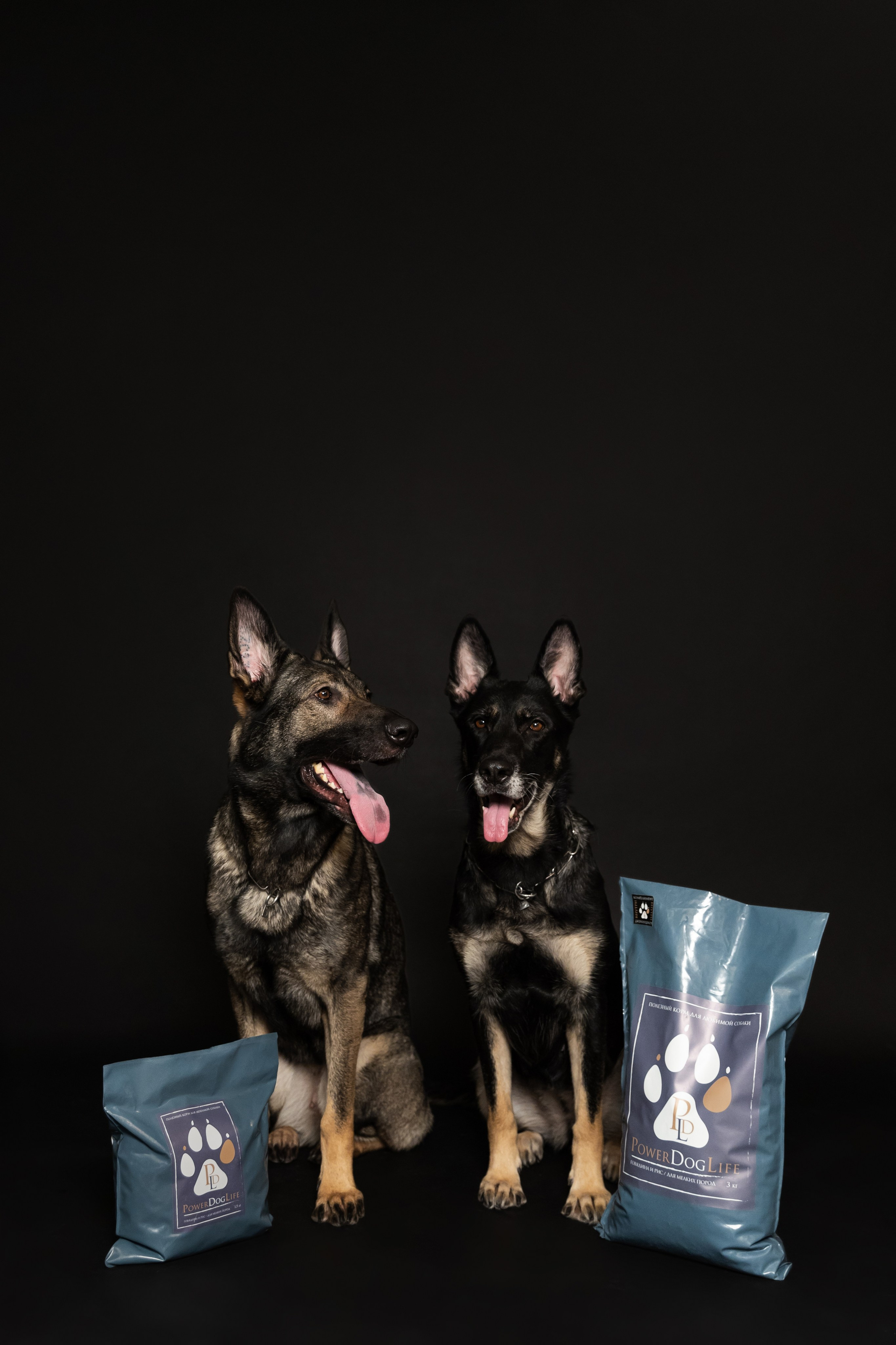 Power Dog Life корм для собак. Фотограф в Санкт-Петербурге