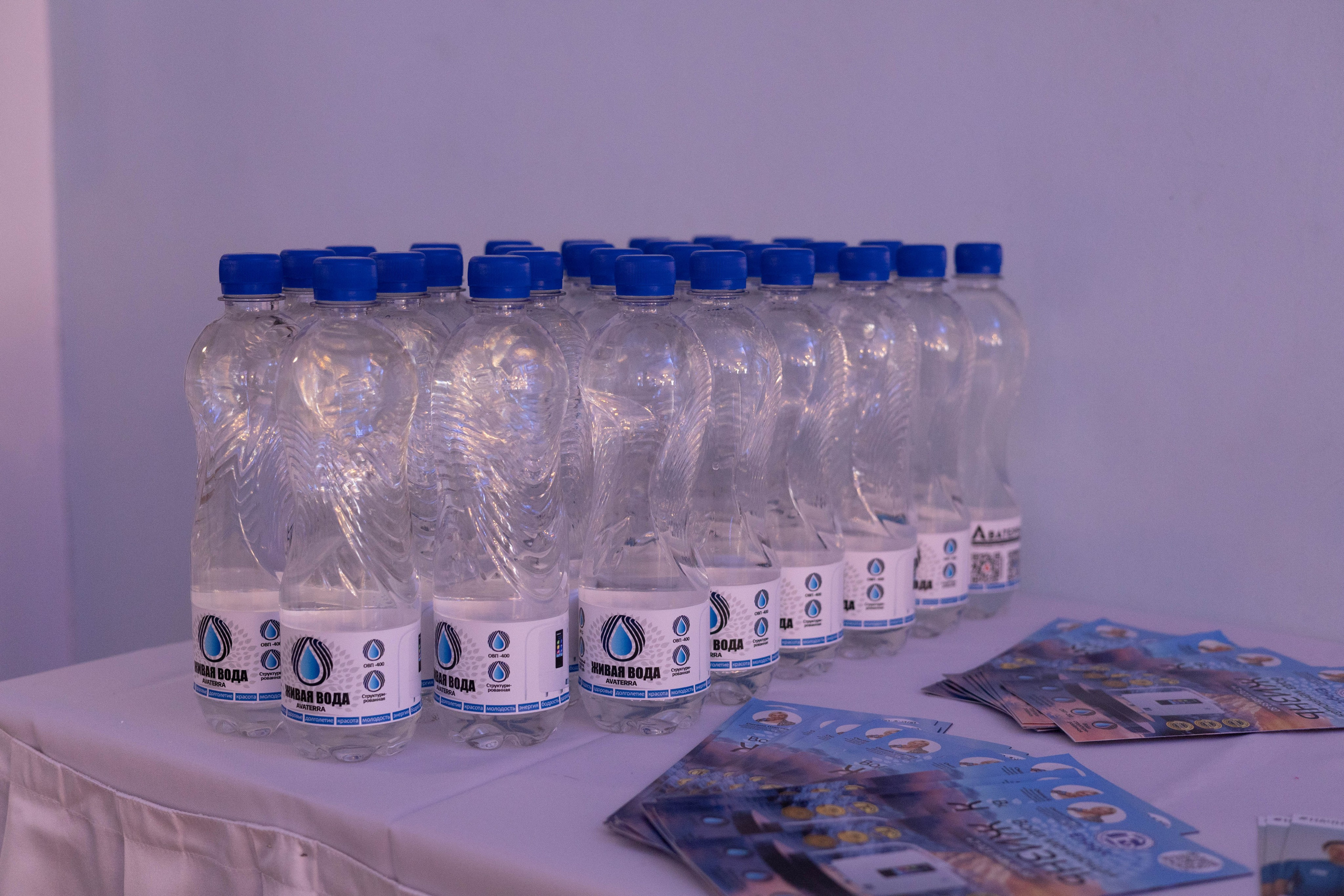 Открытие Миссис Бизнес Гатчина. Главная