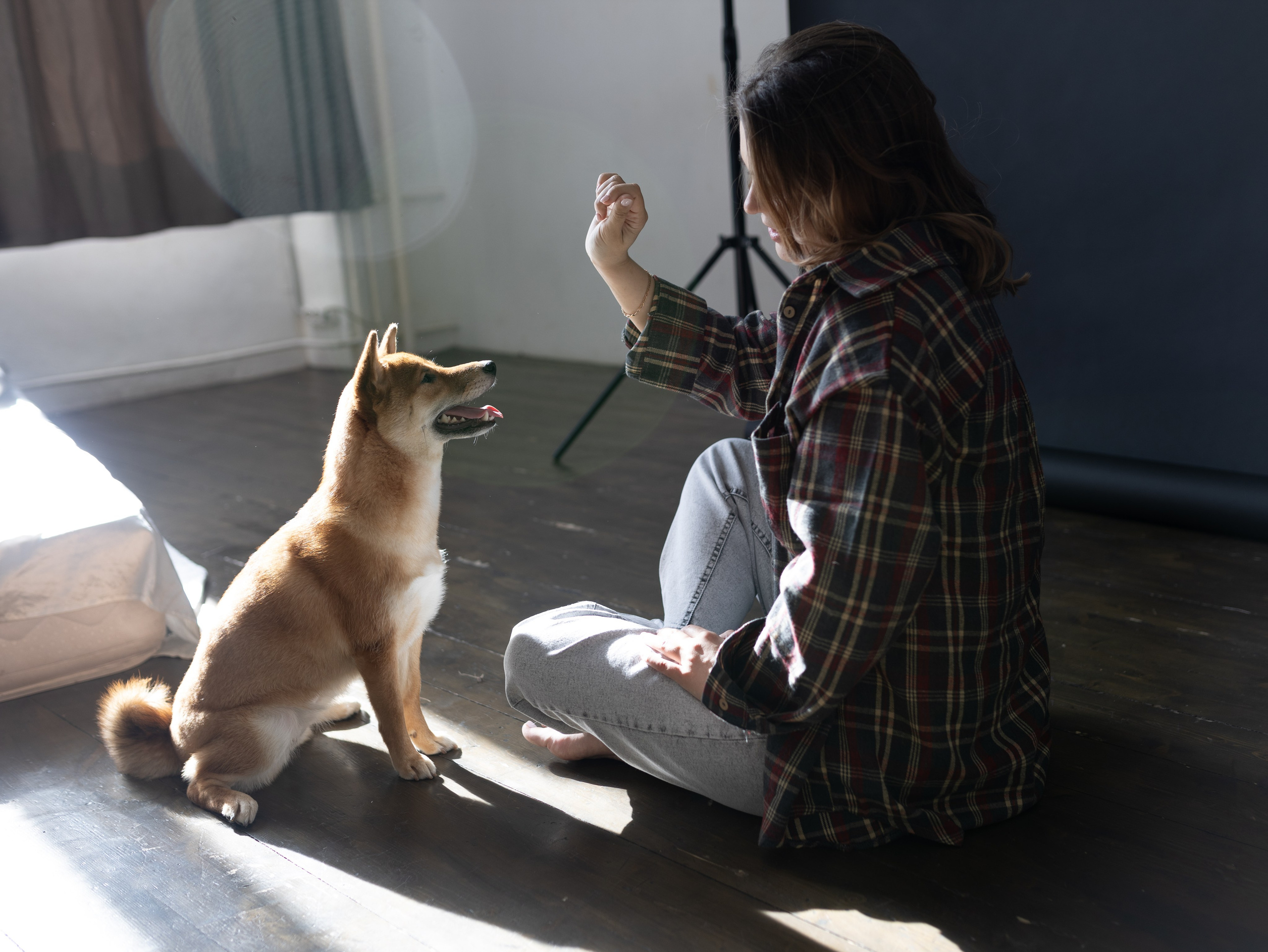 Мика и Настя. Фотограф-анималист в Москве Кириллова Татьяна