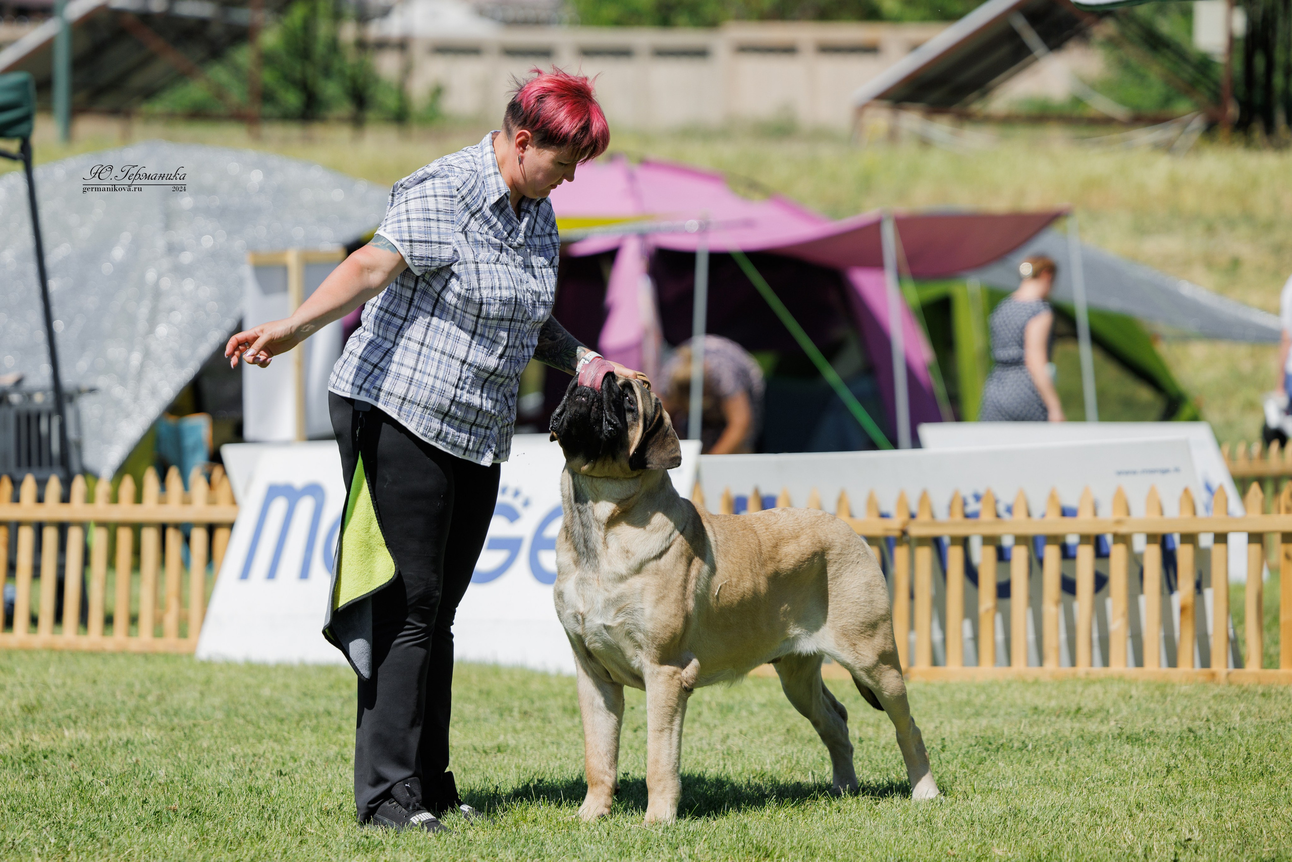 Ереван 3-5.06.2024. Фотограф-анималист Юлия Германика