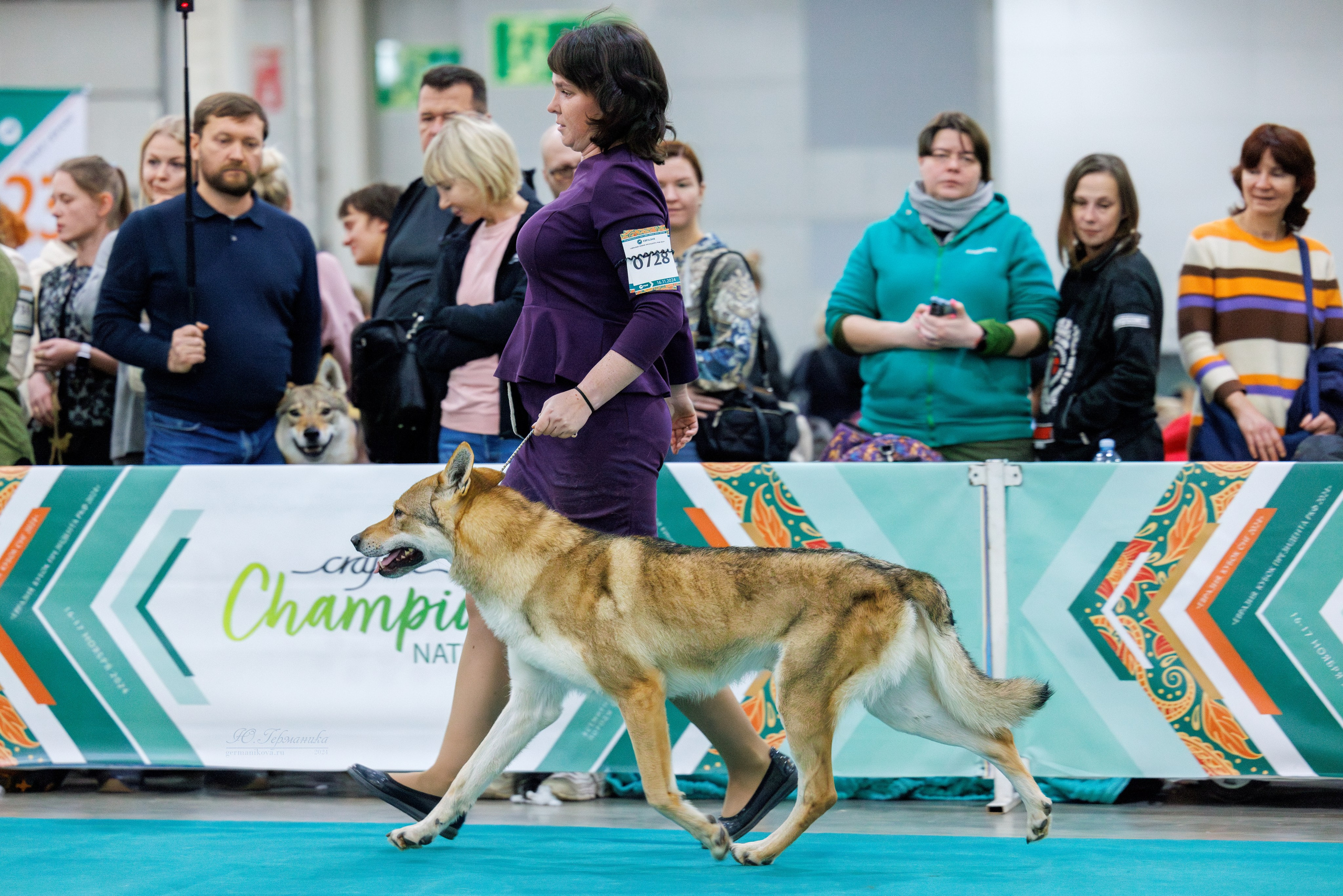 Евразия 16-17.11.2024. Фотограф-анималист Юлия Германика