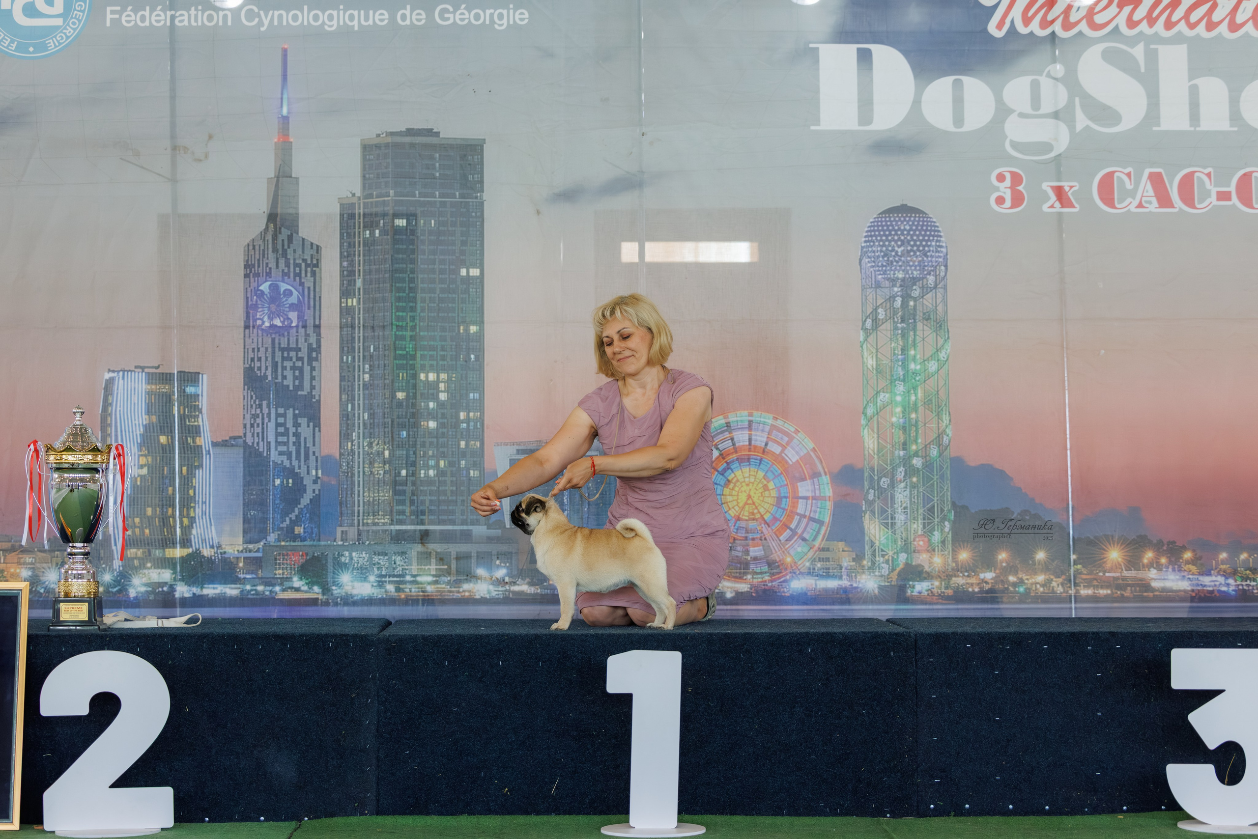 Батуми 3хCACIB 27-29.06.2025. Фотограф-анималист Юлия Германика