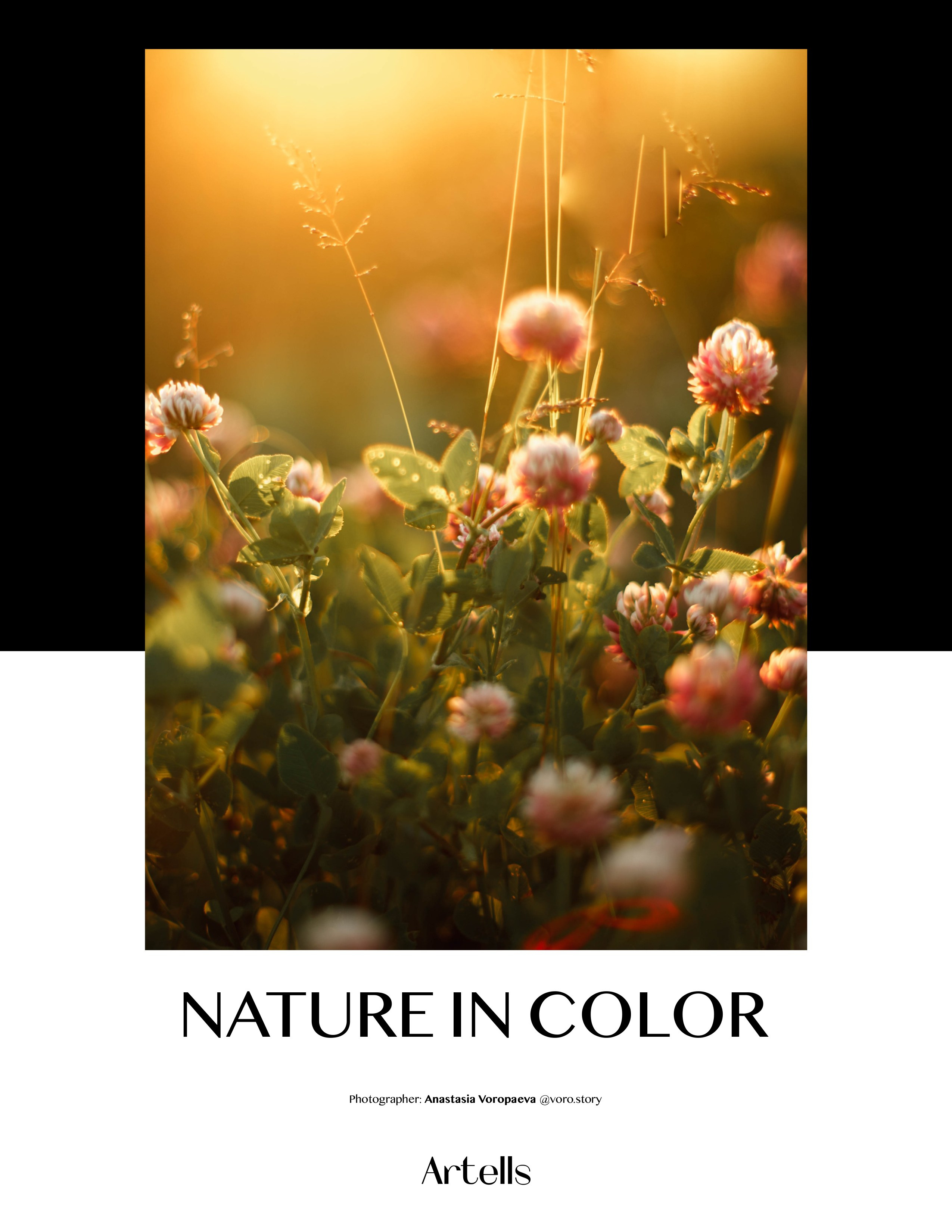 Публикации. Анастасия Воропаева — фотограф на роды СПб