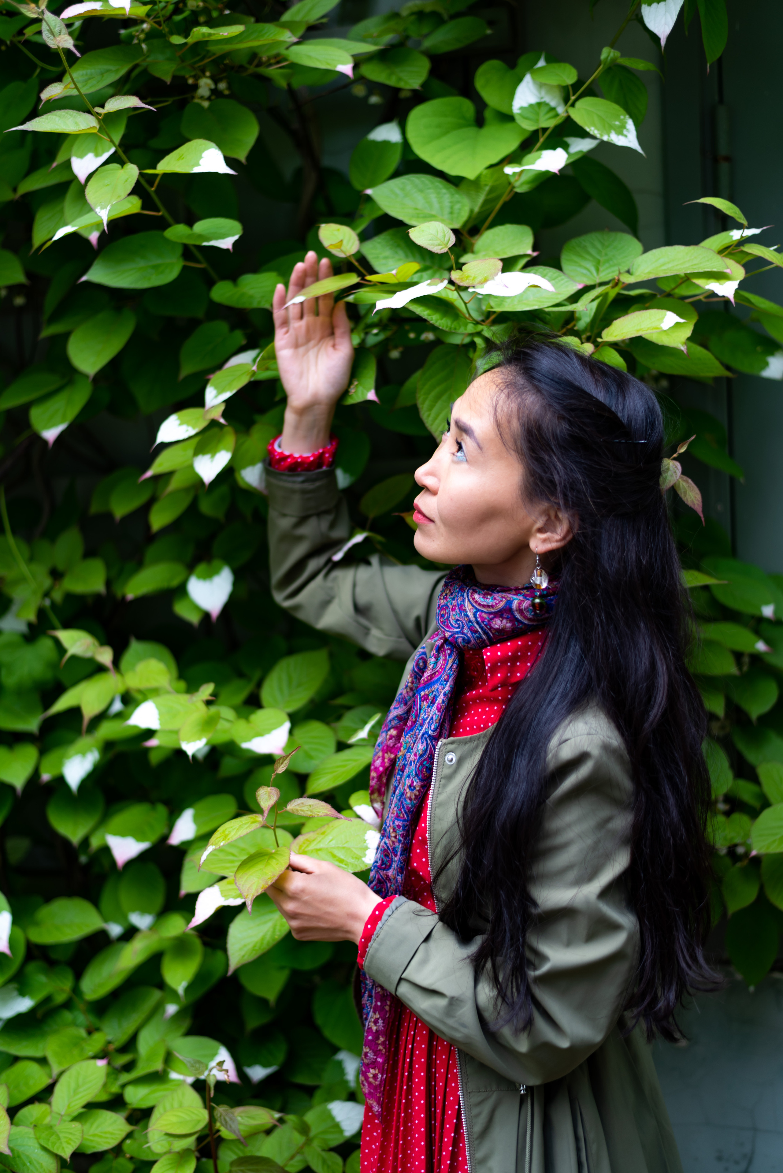 Летний сад. Анонс фотодня. Елена Сергеева- фотограф для жизни и бренда. Фотосессии и репортаж мероприятий