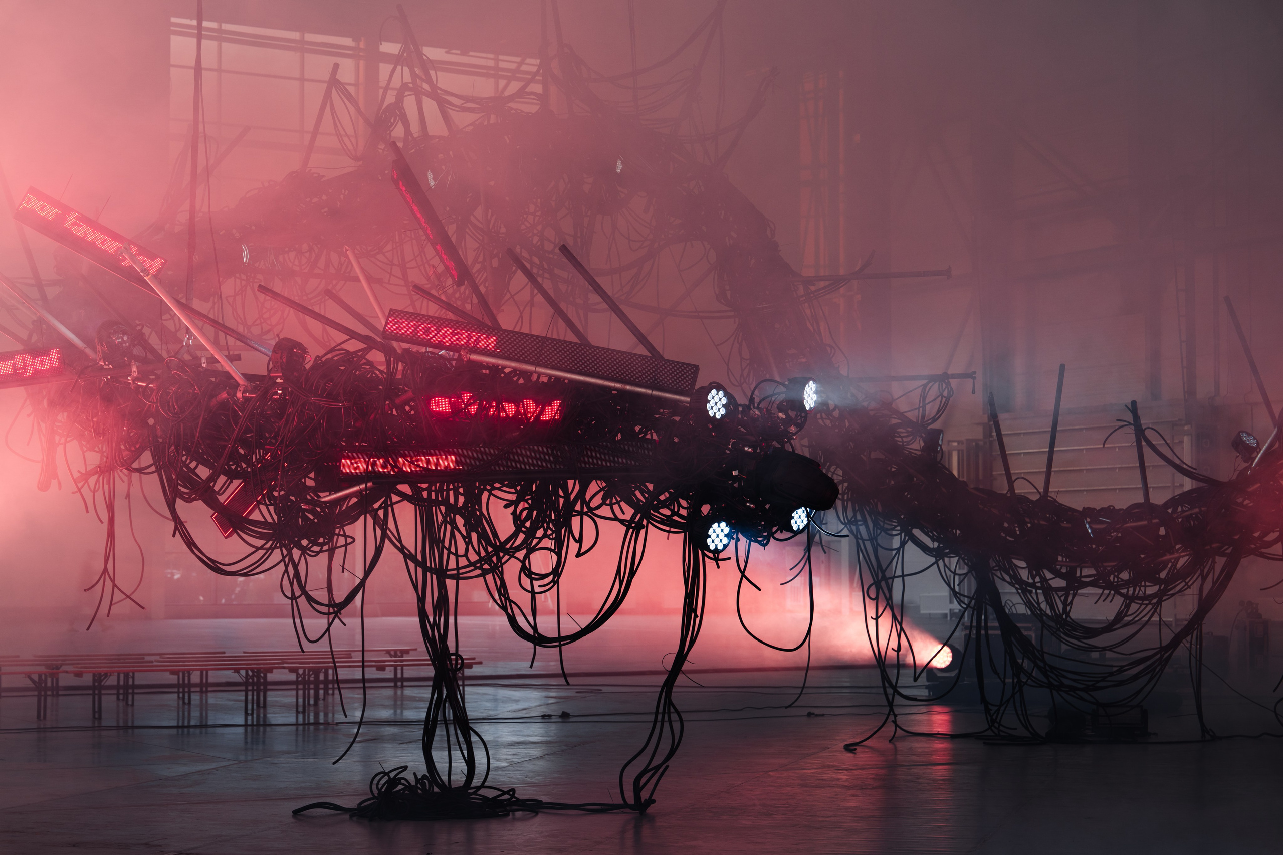 PANTERRA, CHRONOMORPH 001. @tomrus: Рустам Шагиморданов — фотограф