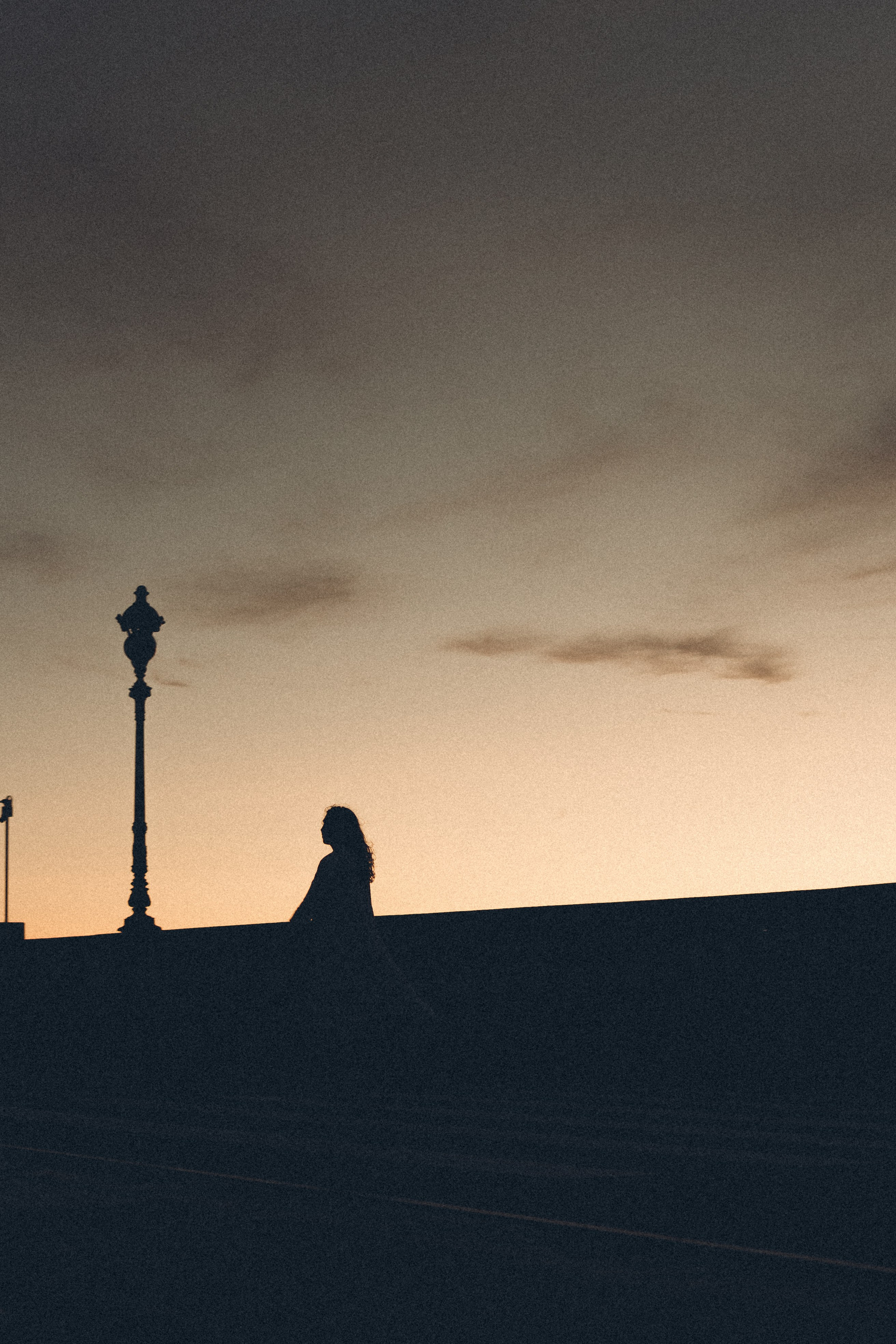 РАССВЕТ С РАЗВОДНЫМИ МОСТАМИ. Профессиональный фотограф, Санкт-Петербург — Виктория Богомолова