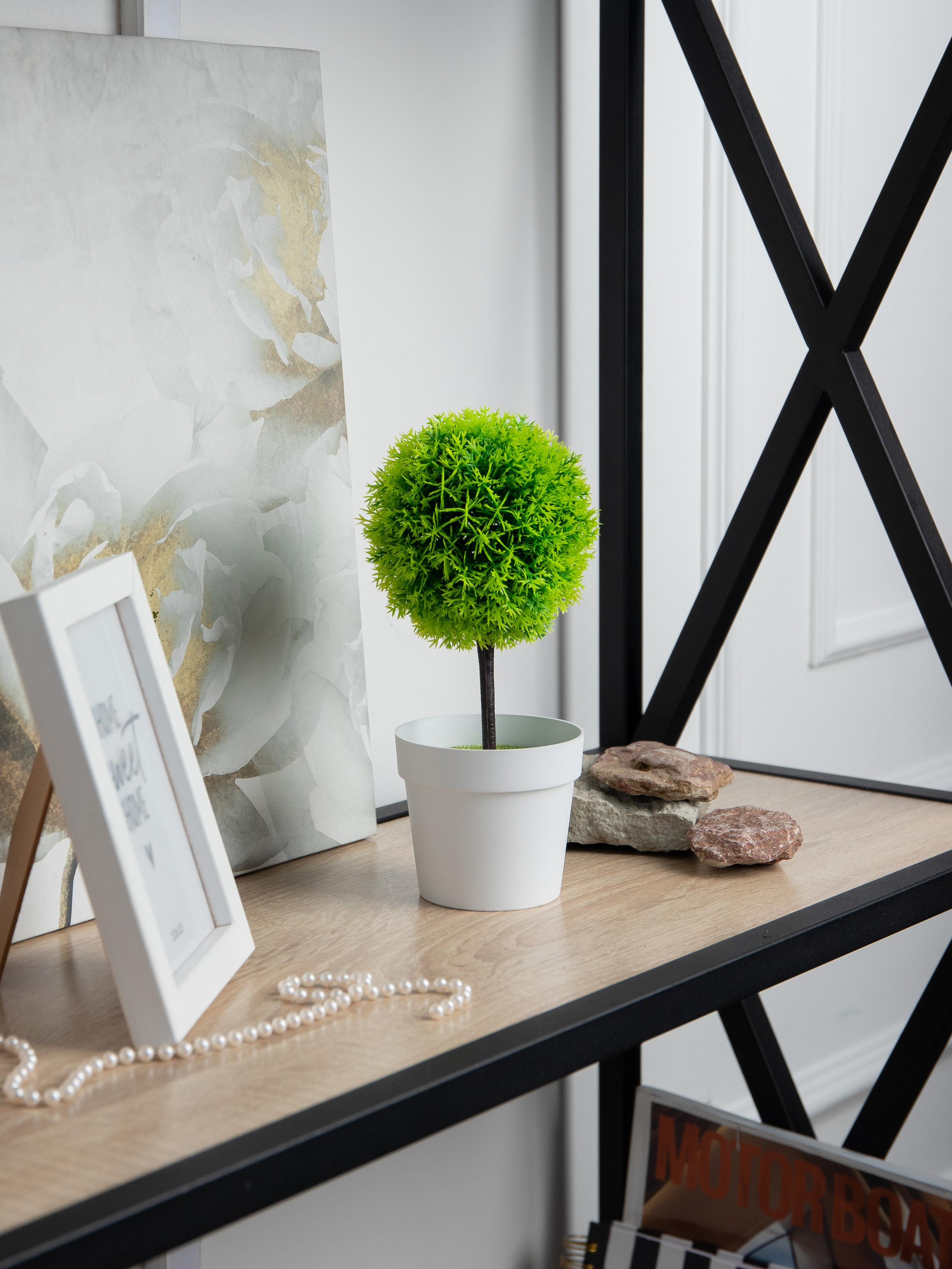 Декоративные деревья. Коммерческий фотограф в Санкт-Петербурге (СПб) Екатерина Панчёха, Панчёшка