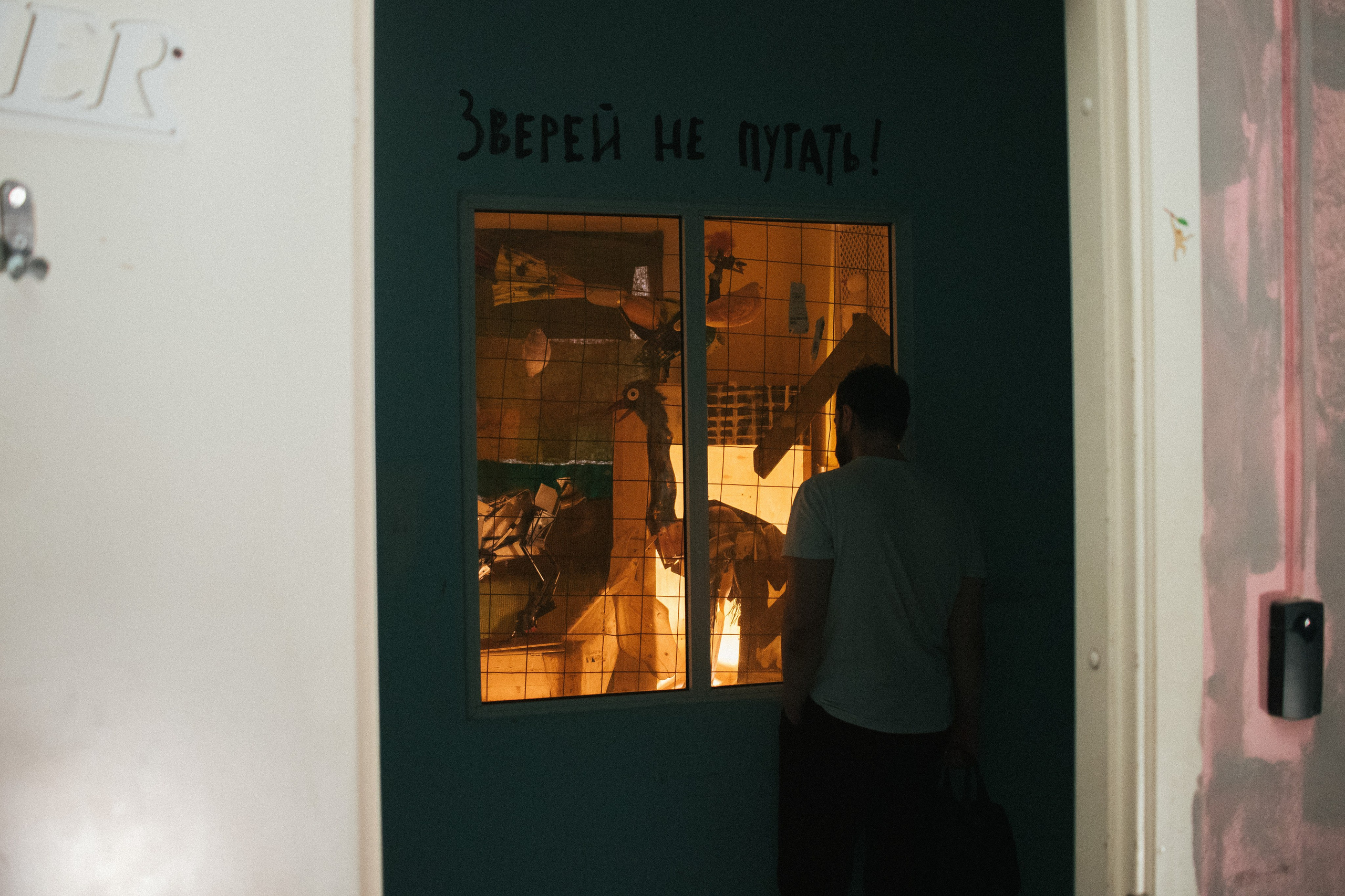 Фестивали, выставки. Коммерческий фотограф в Санкт-Петербурге (СПб) Екатерина Панчёха, Панчёшка