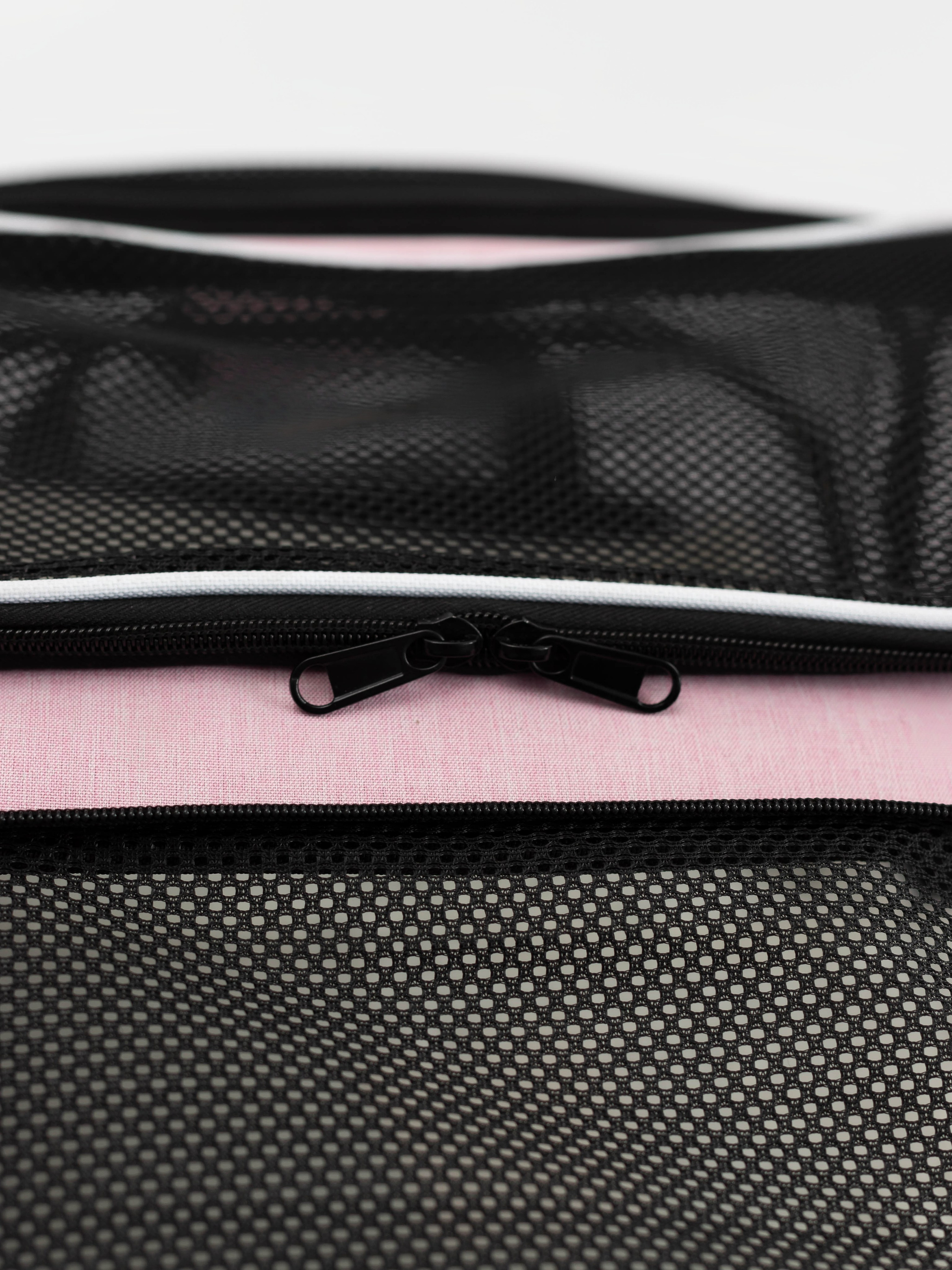 Переноска для питомца. Коммерческий фотограф в Санкт-Петербурге (СПб) Екатерина Панчёха, Панчёшка