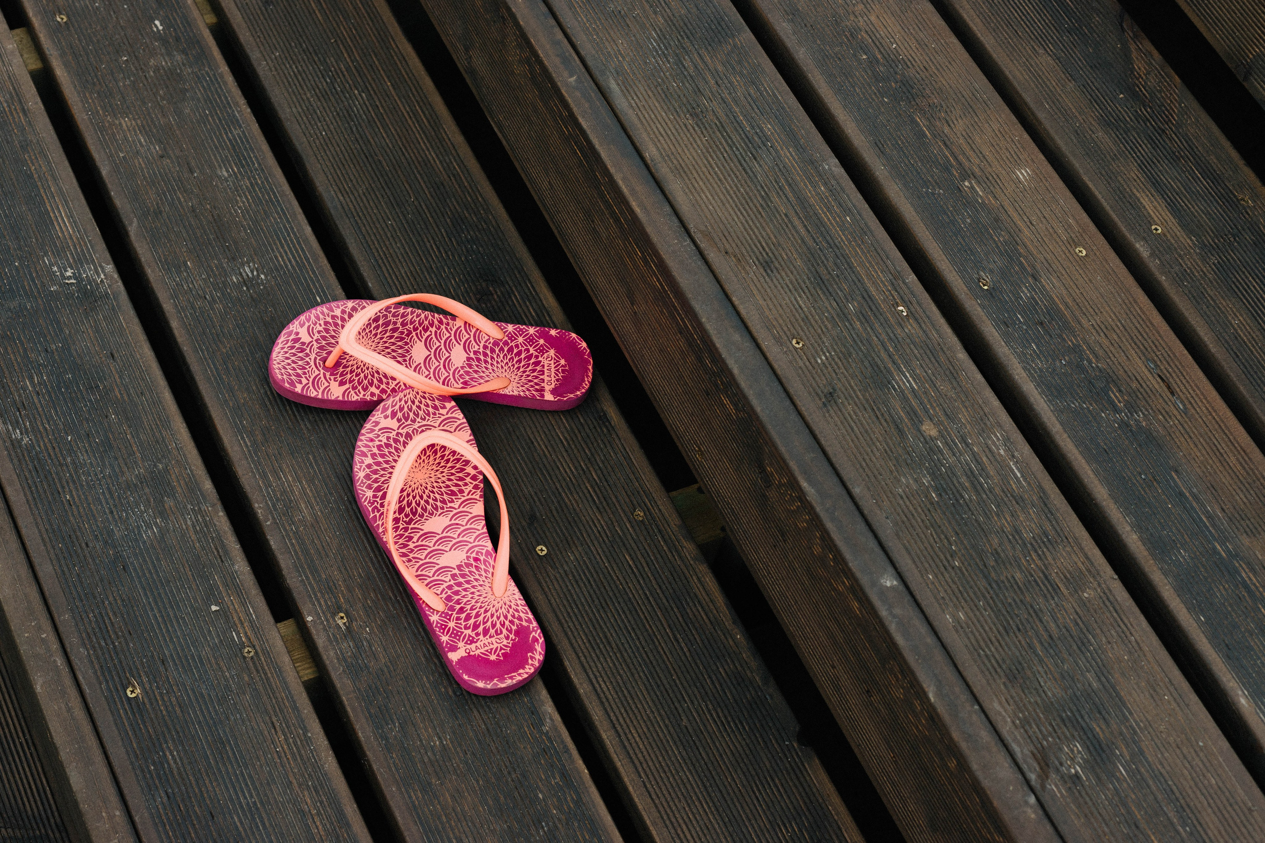 Фестивали, выставки. Коммерческий фотограф в Санкт-Петербурге (СПб) Екатерина Панчёха, Панчёшка