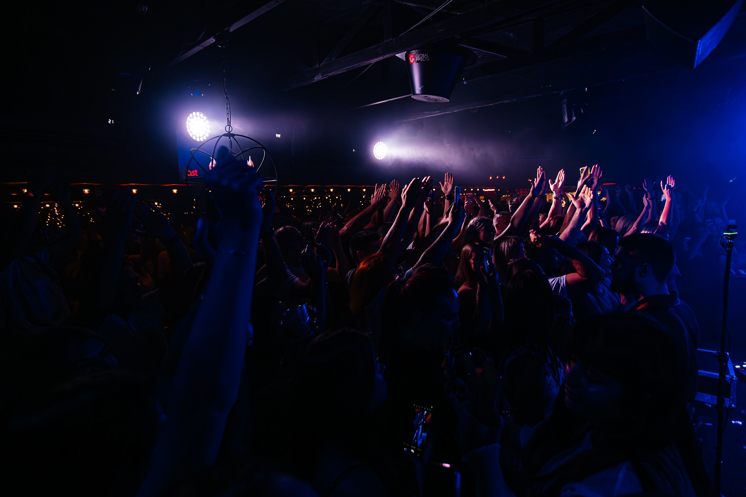 Бурито_Чайка_на_пляже_Ялта 23.08.2024. Аминов Руслан | Фотограф