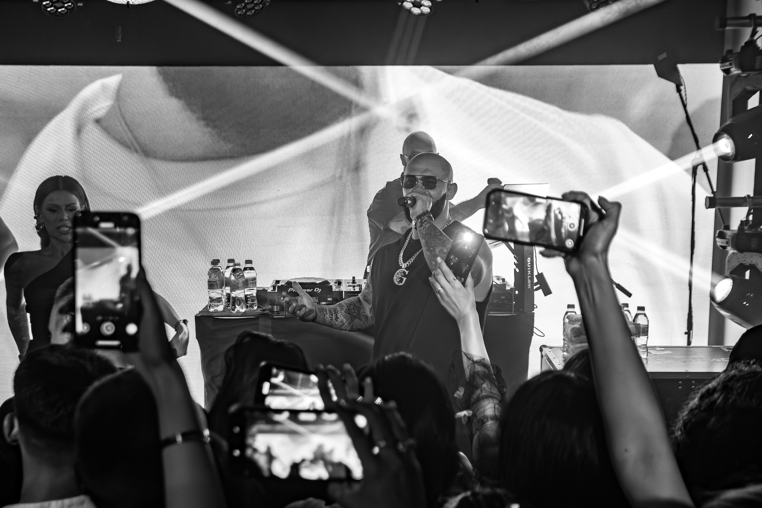 «Джиган"_Чайка на пляже_Ялта_12.07.2025 г. Аминов Руслан | Фотограф