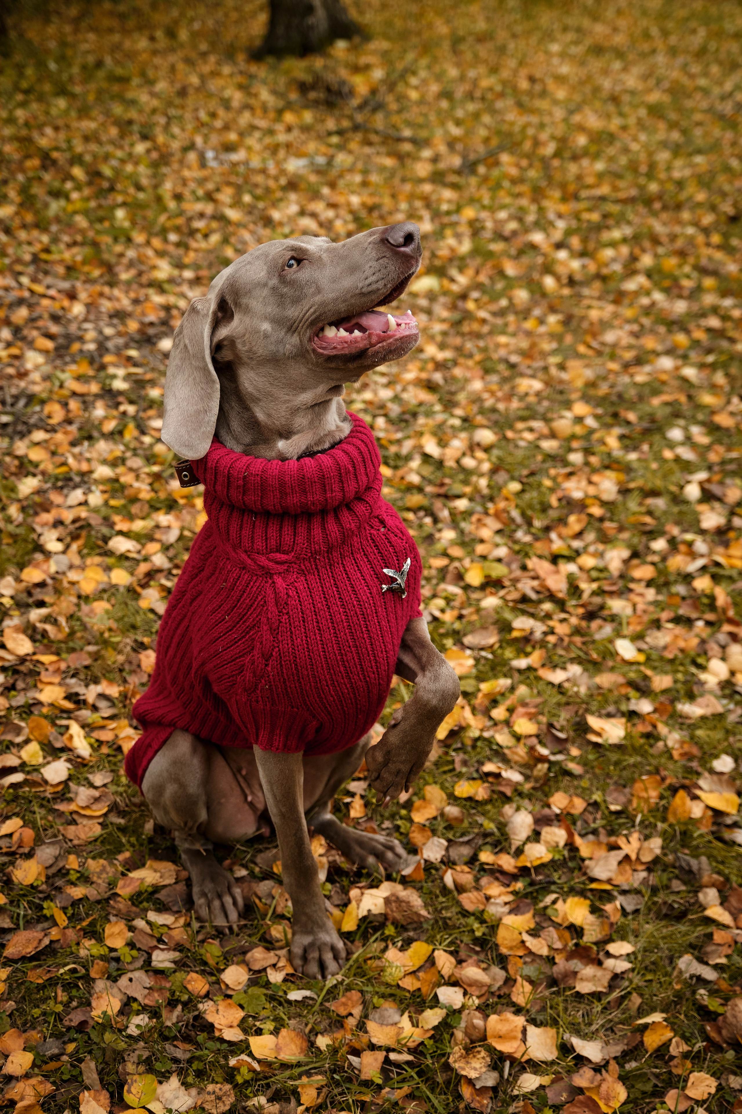 Семейная фотопрогулка