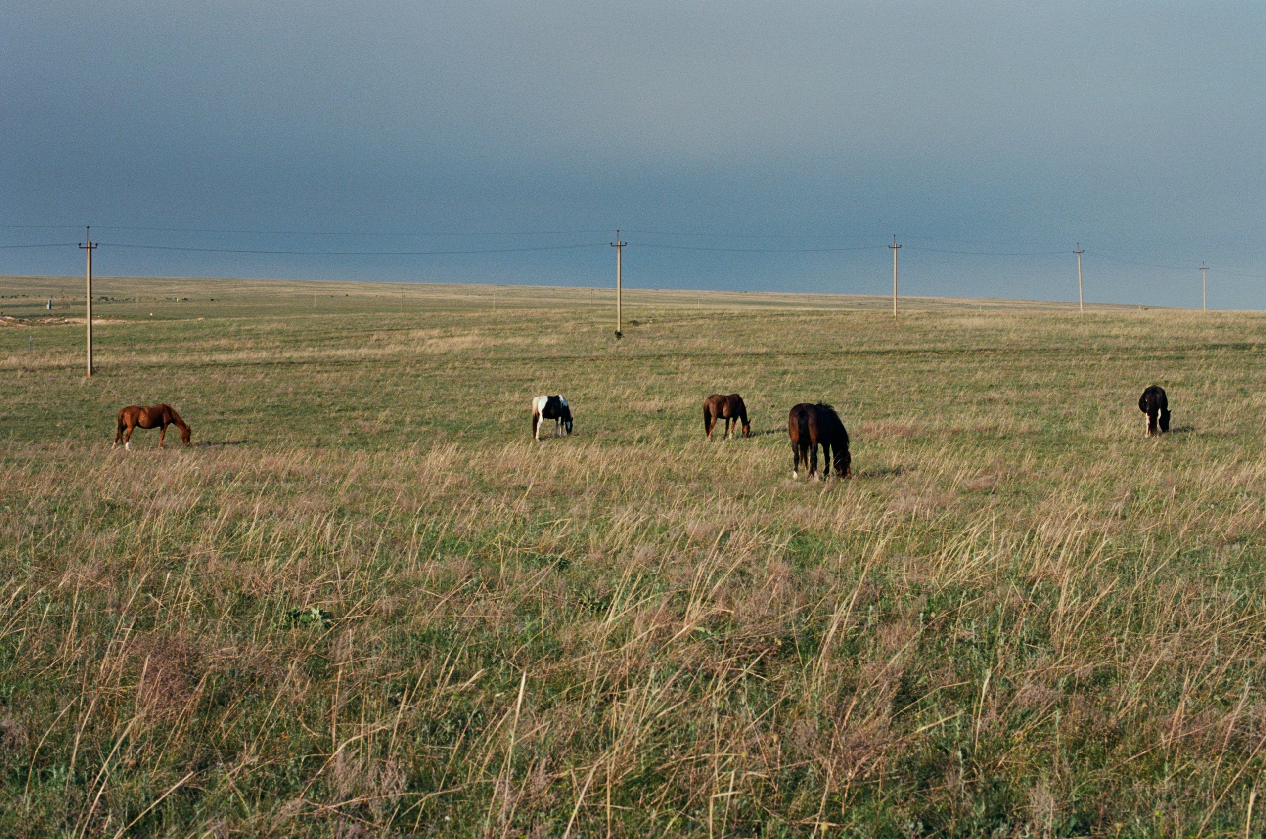 The drugs don't work // ukraine, crimea II. EVER EXPOSED