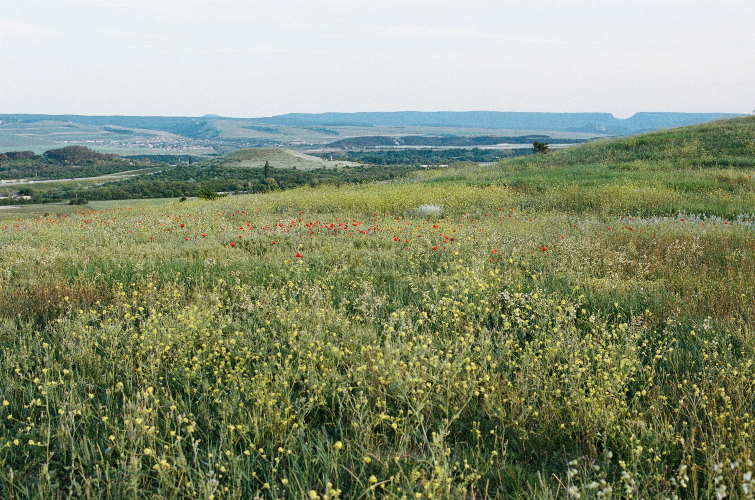 Champagne supernova // ukraine, crimea. EVER EXPOSED