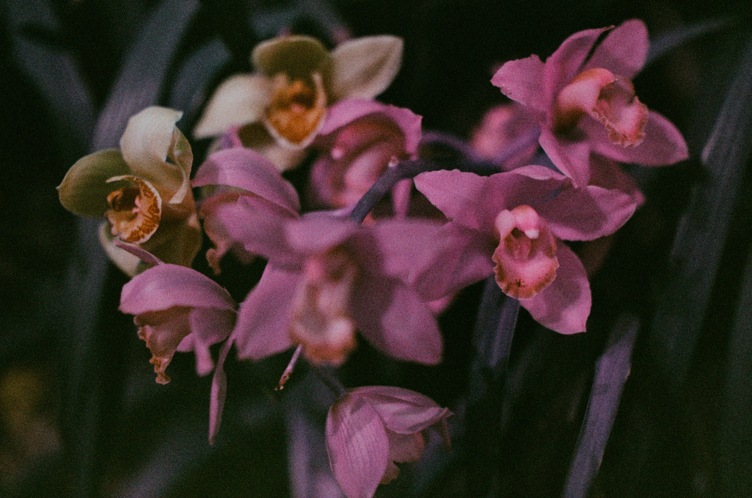 If i get high. EVER EXPOSED