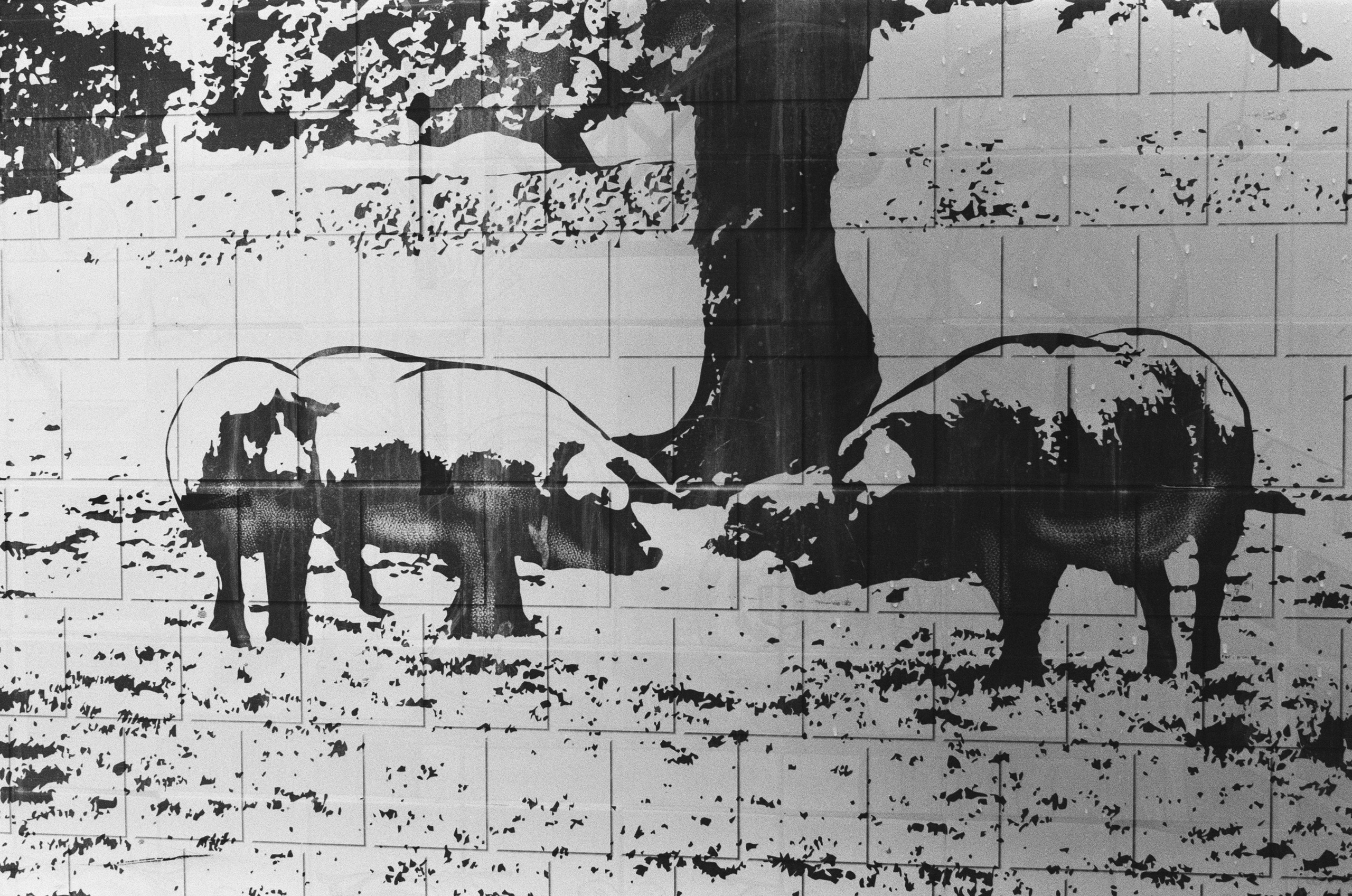 Spanish sahara // spain, caceres. EVER EXPOSED