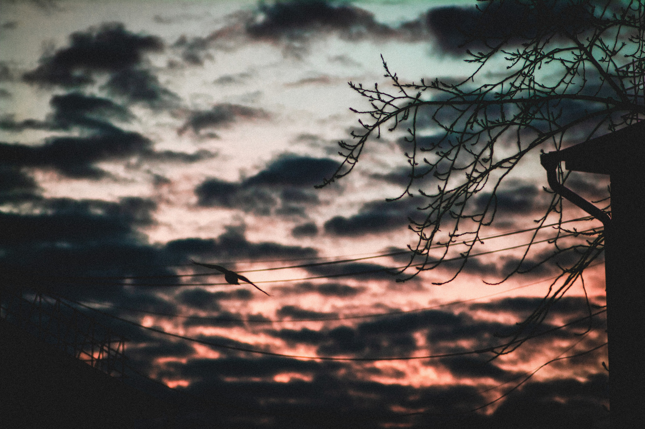 Со дна на вершину. Den Mirov — Фотограф, Музыкант